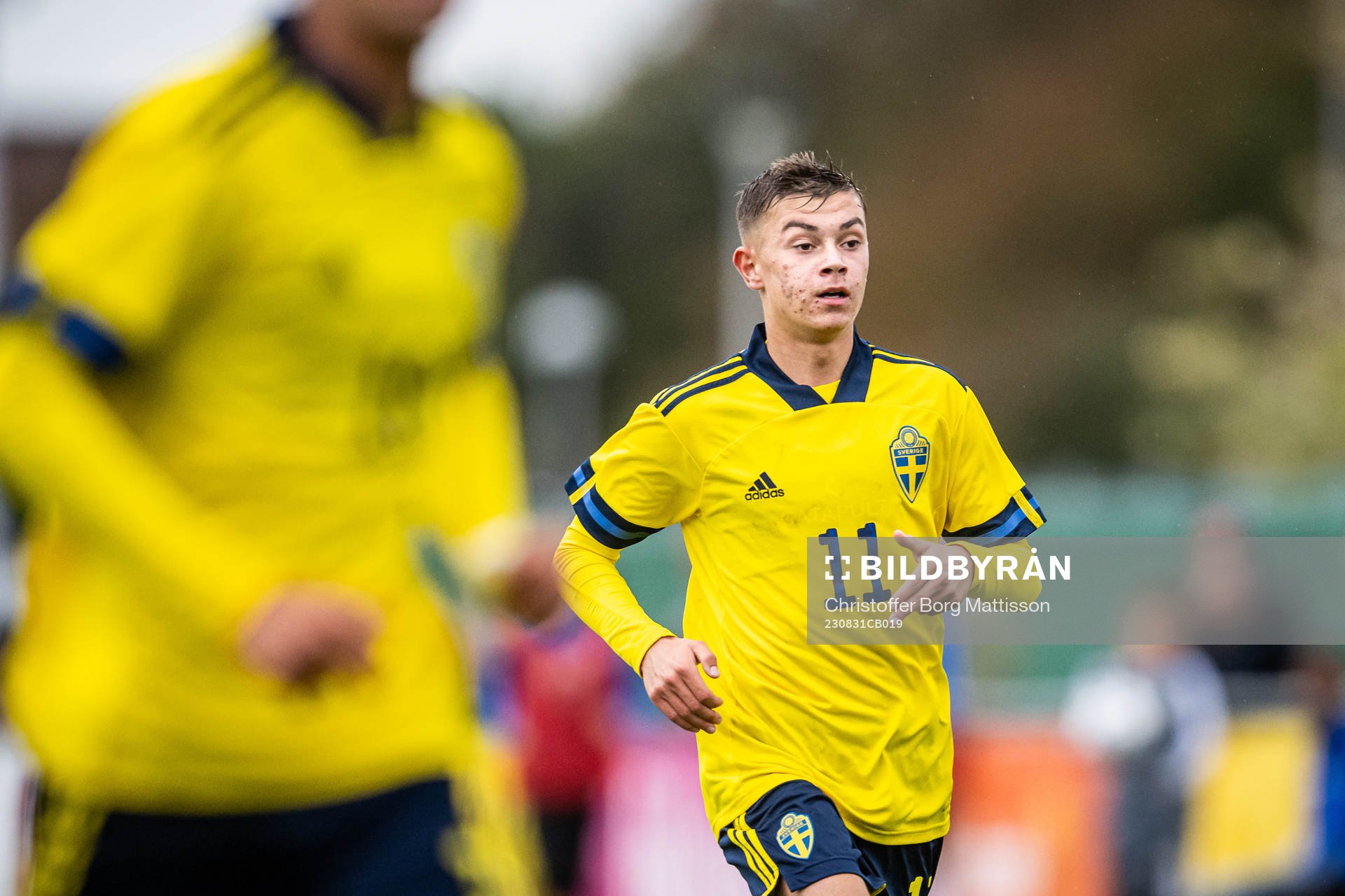 Sveriges Fred Bozicevic
