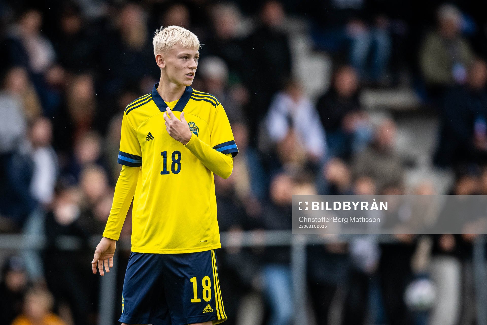 Sveriges Viggo Karlsson