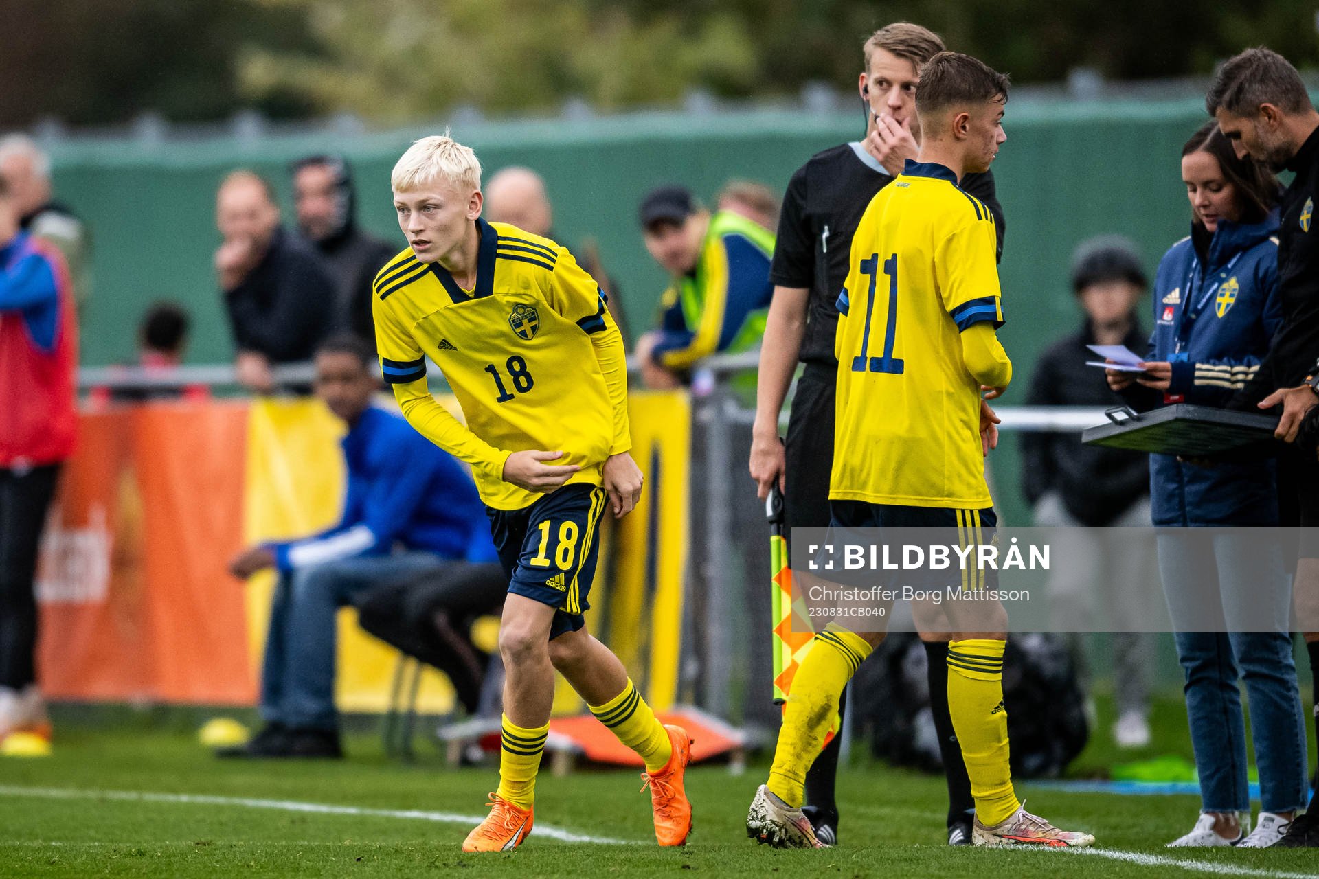 Sveriges Viggo Karlsson