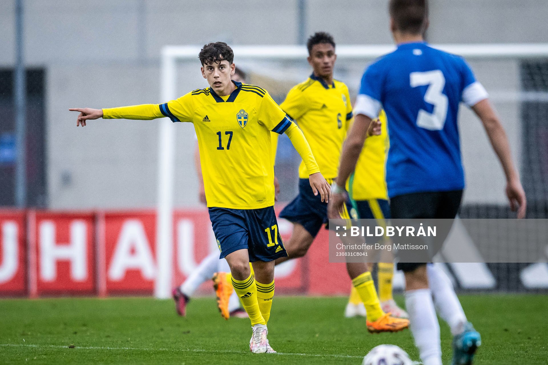 Sveriges Malte Ljungkull