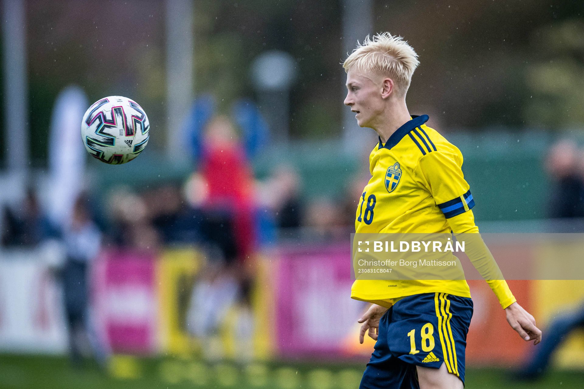 Sveriges Viggo Karlsson