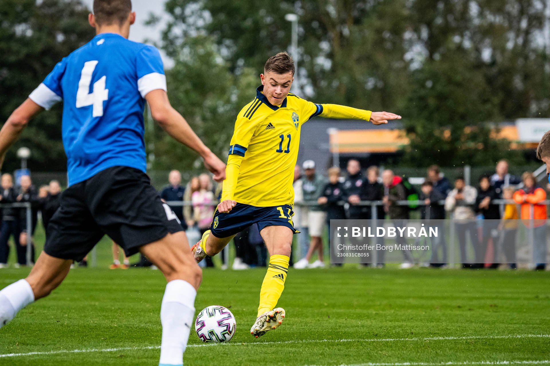 Sveriges Fred Bozicevic
