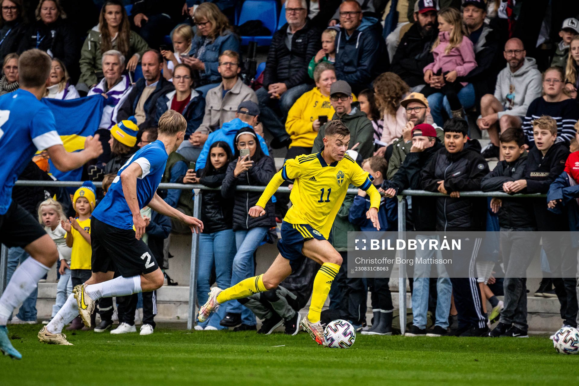 Sveriges Fred Bozicevic