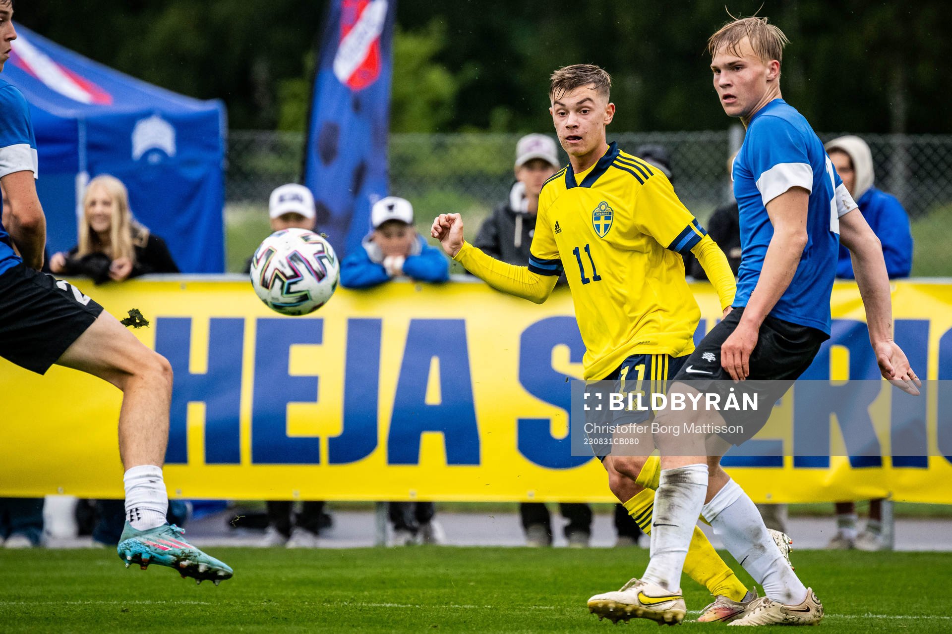 Sveriges Fred Bozicevic
