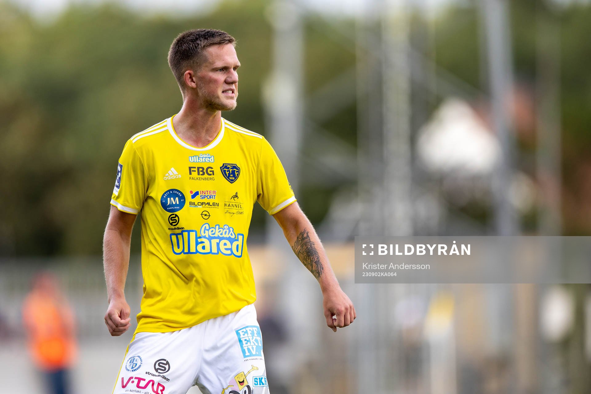 Falkenbergs Tim Stålheden