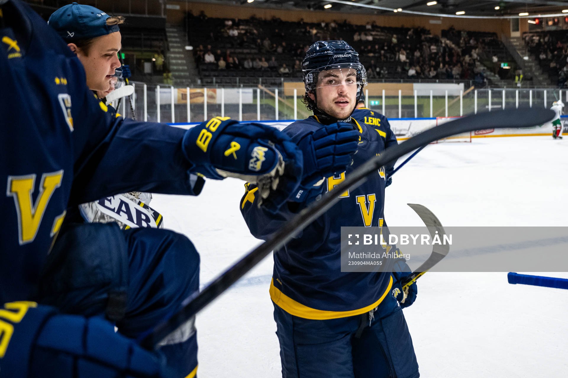 HV71s Bobby Nardella jublar