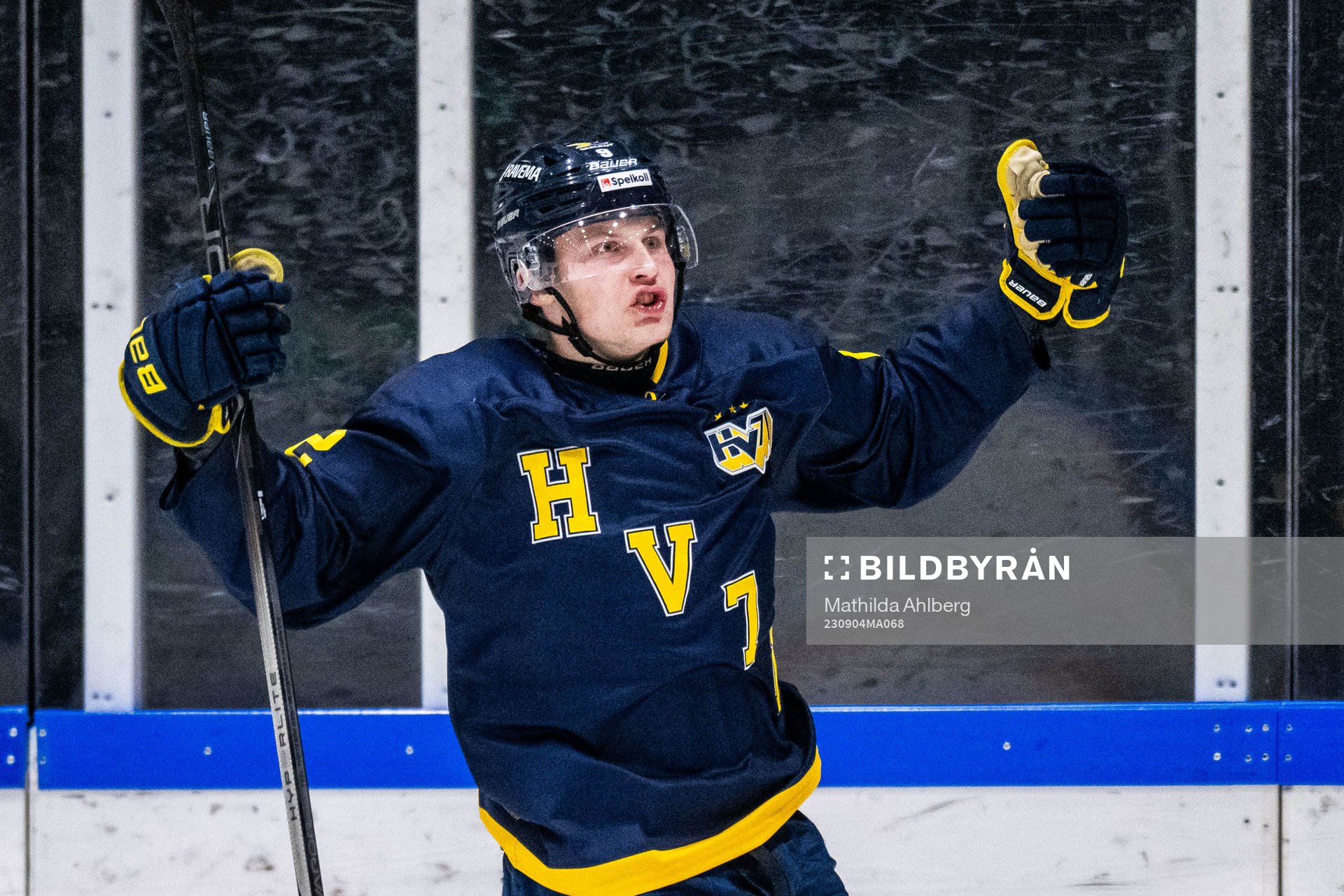 HV71s Hugo Pettersson jublar