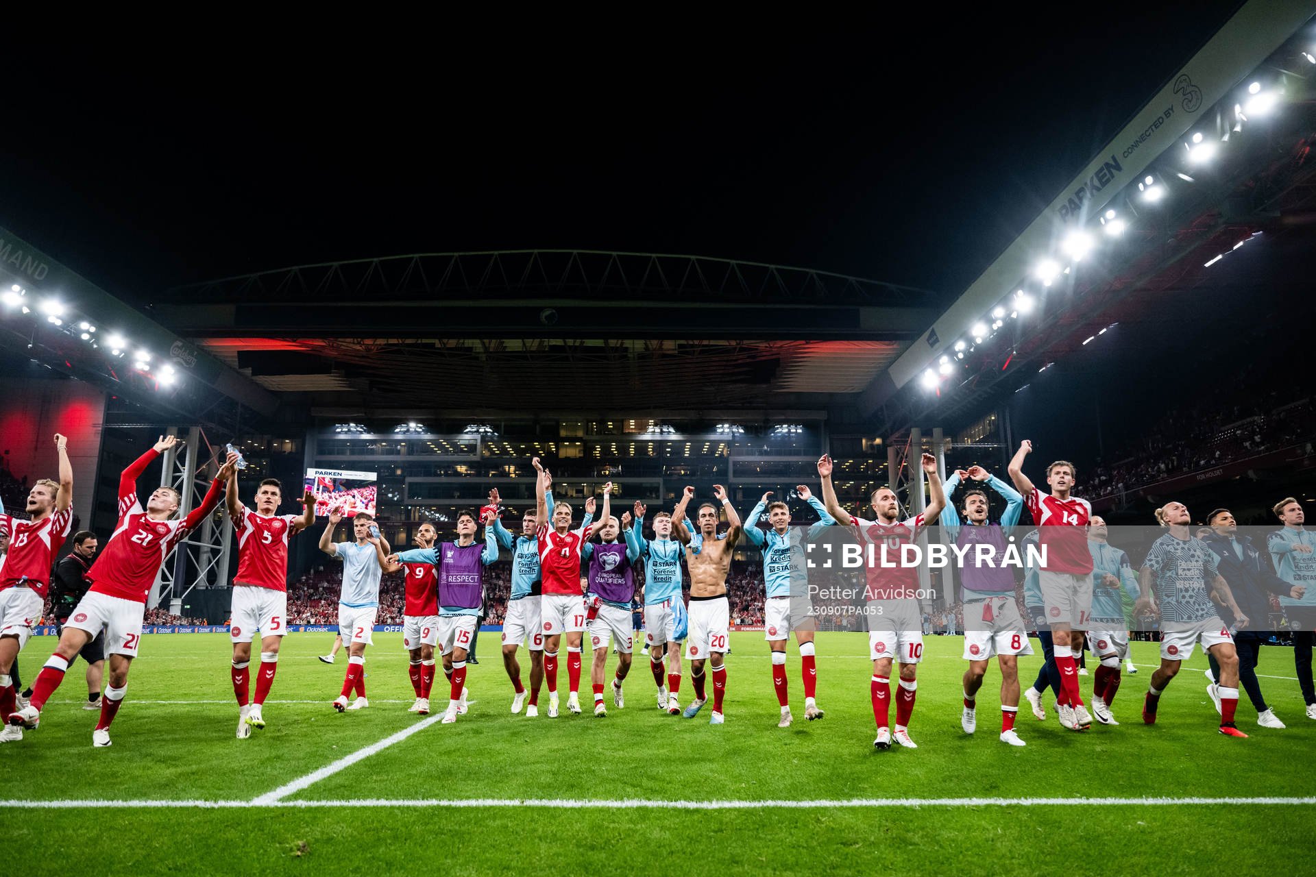 Players of Denmark celebrate