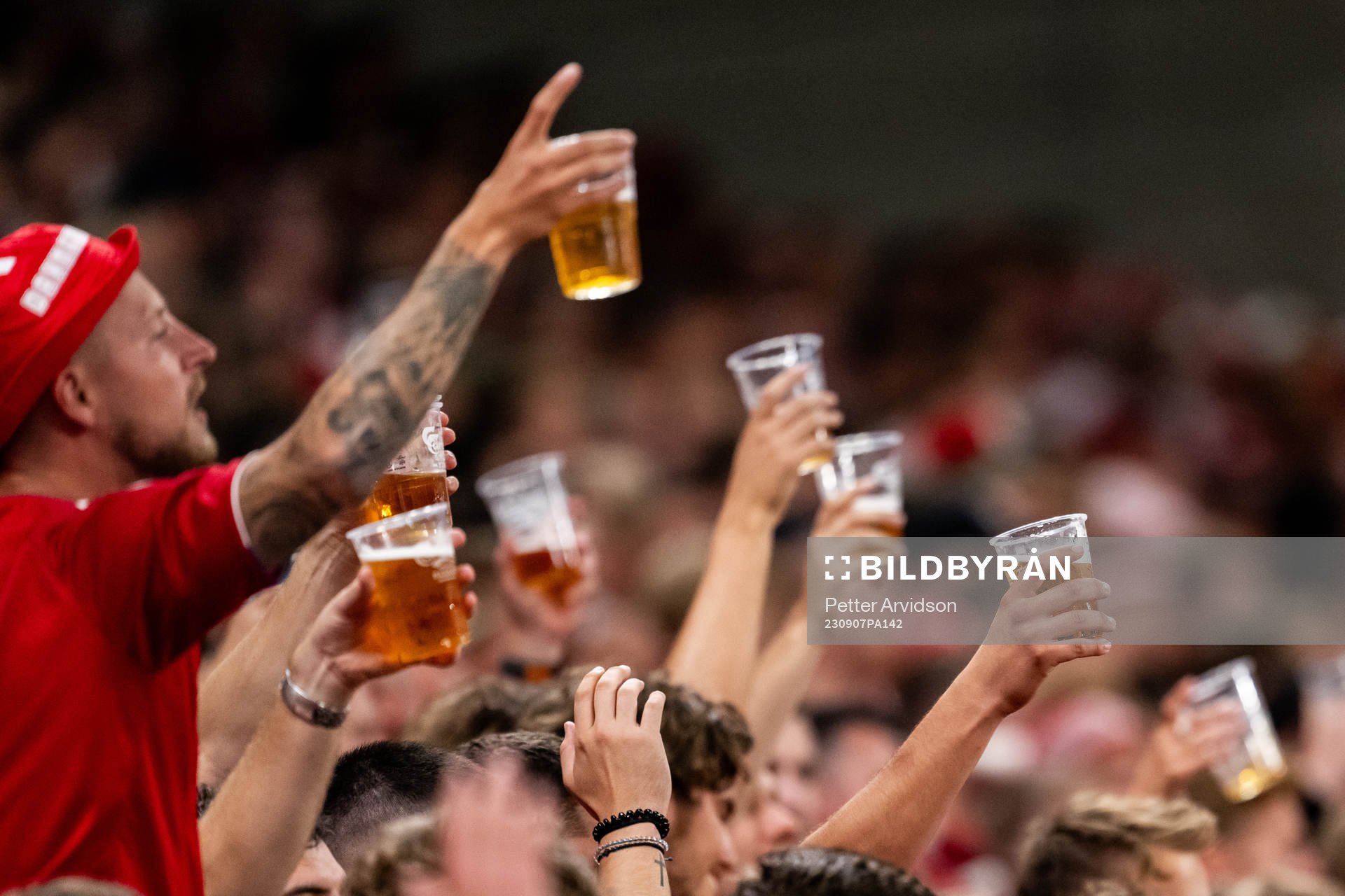 Fans of Denmark with beer