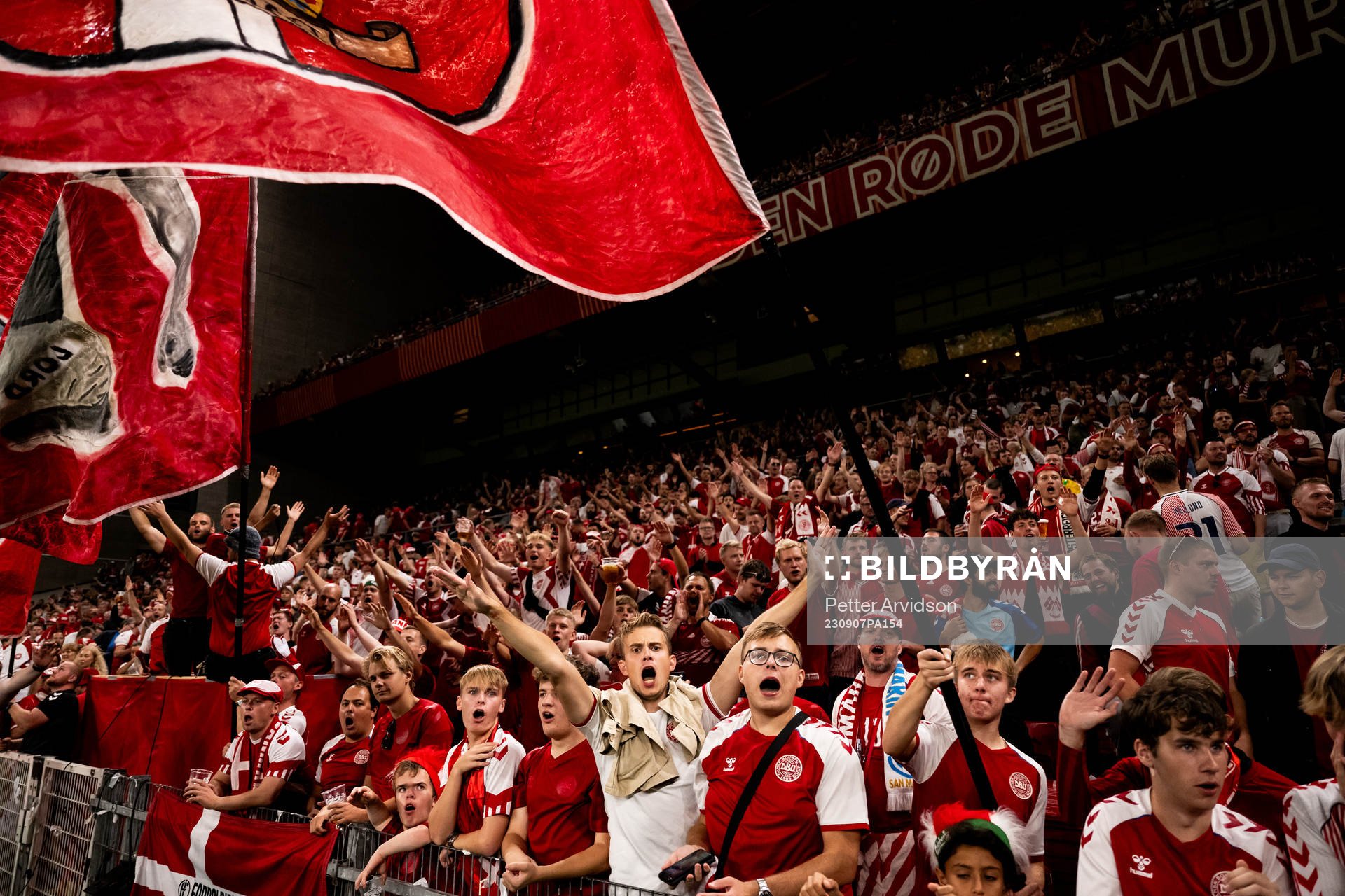 Fans of Denmark