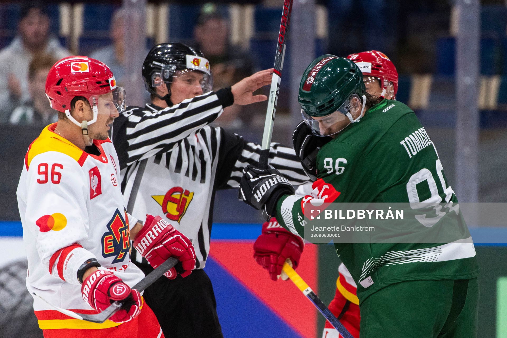 Damien Brunner of EHC Biel-Bienne and David Tomasek of