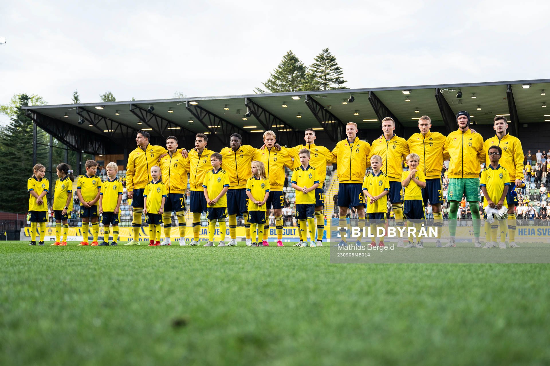 Players of Sweden