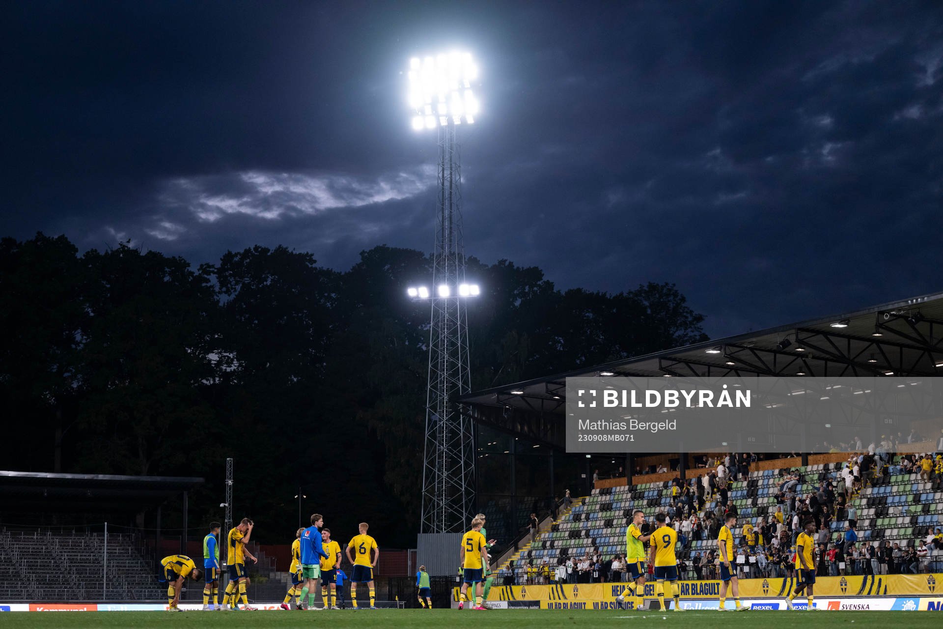 Players of Sweden
