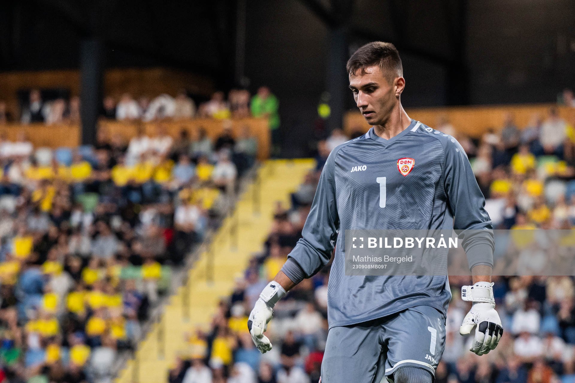 goalkeeper Marko Alchevski of North Macedonia