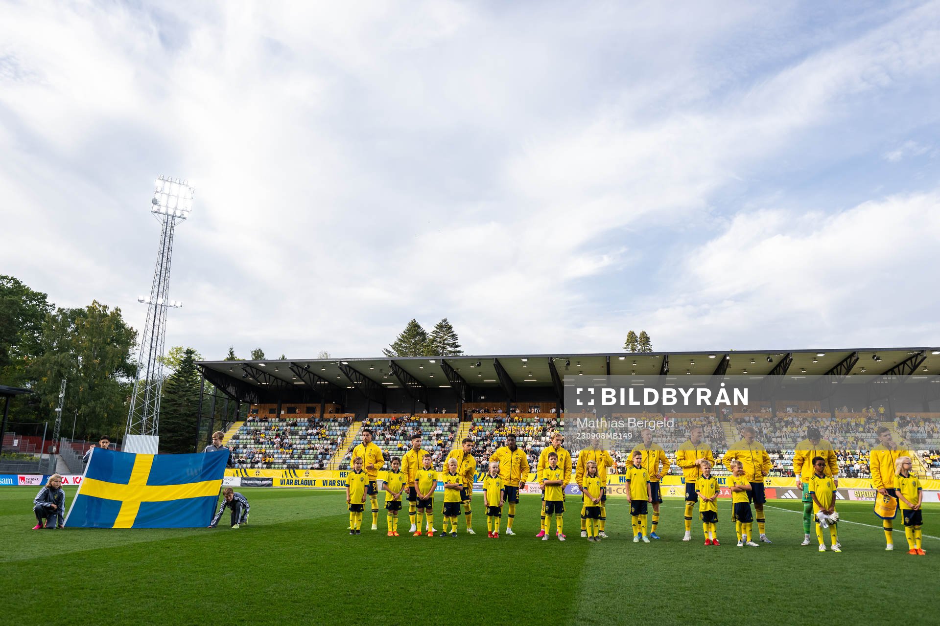 Players of Sweden