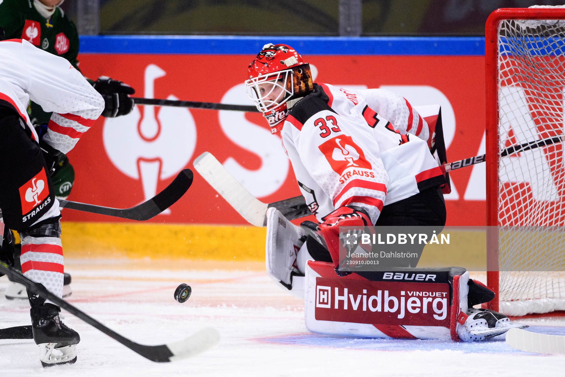 Goaltender Albert Adamsen of Aalborg Pirates