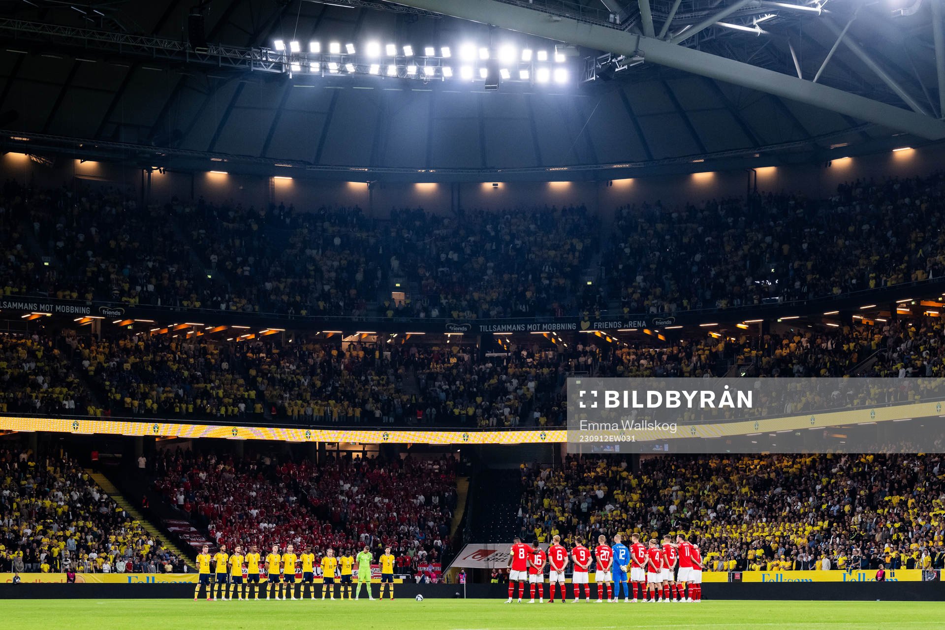 Players of Sweden