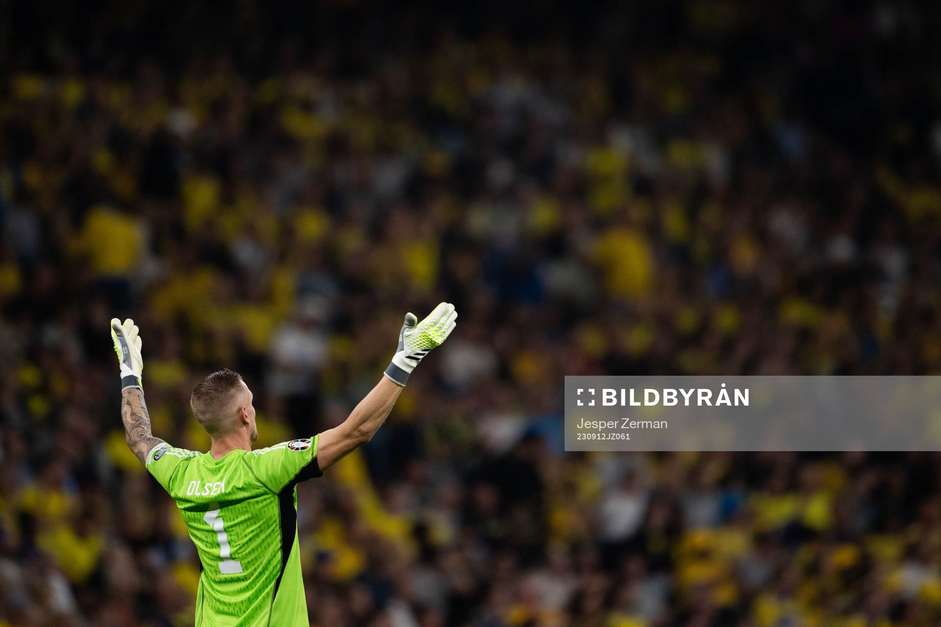 goalkeeper Robin Olsen of Sweden
