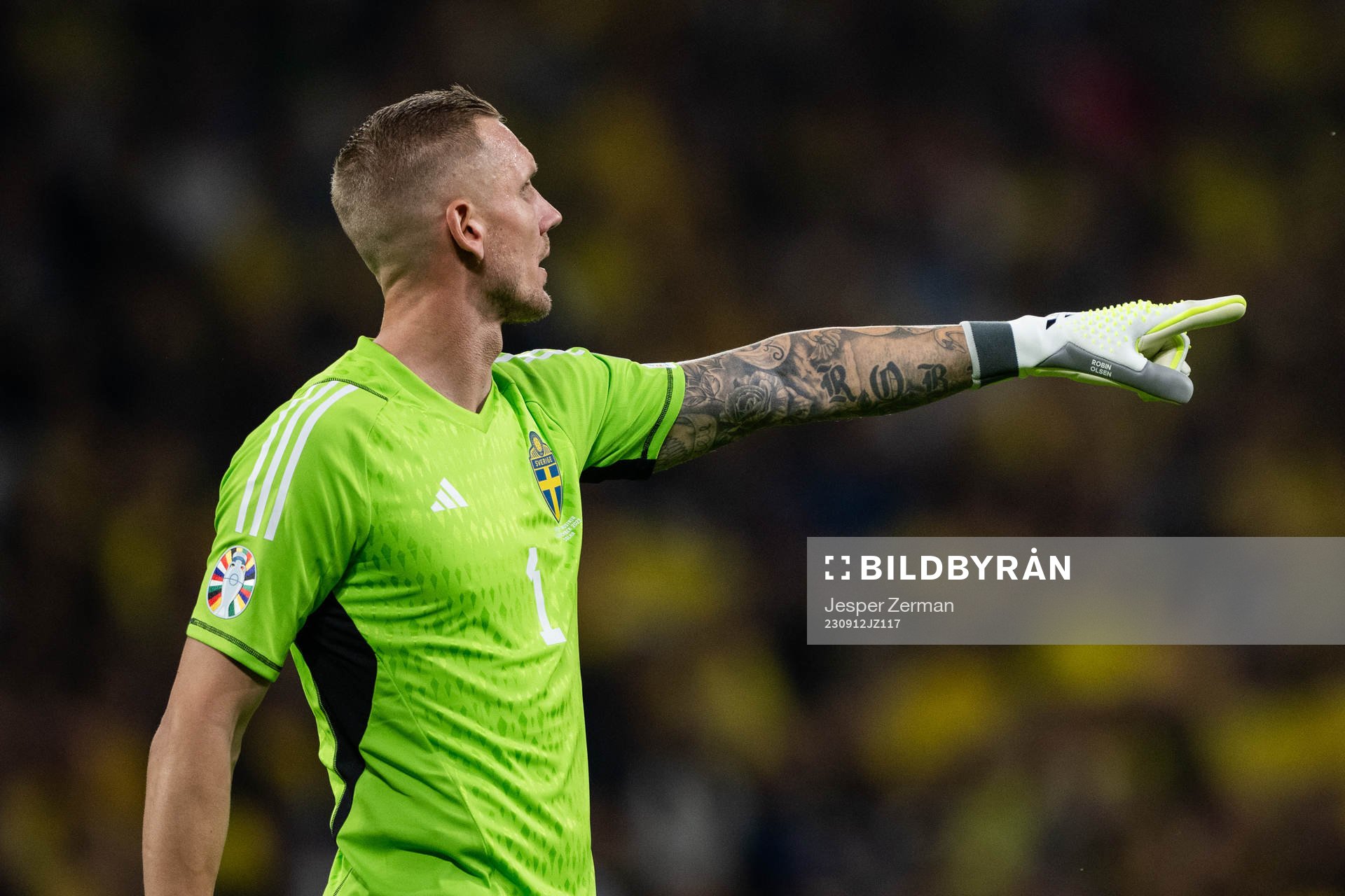 goalkeeper Robin Olsen of Sweden