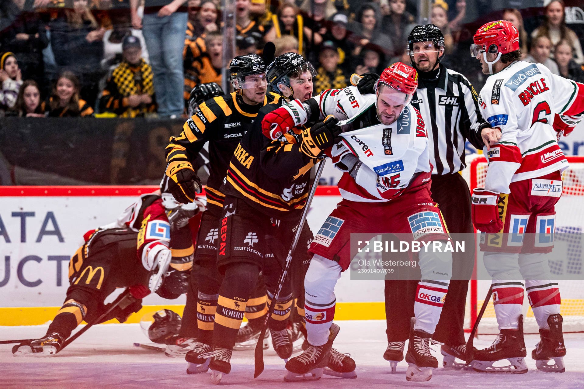 Skellefteås Axel Sandin-Pellikka och MoDos Sam Vigneault
