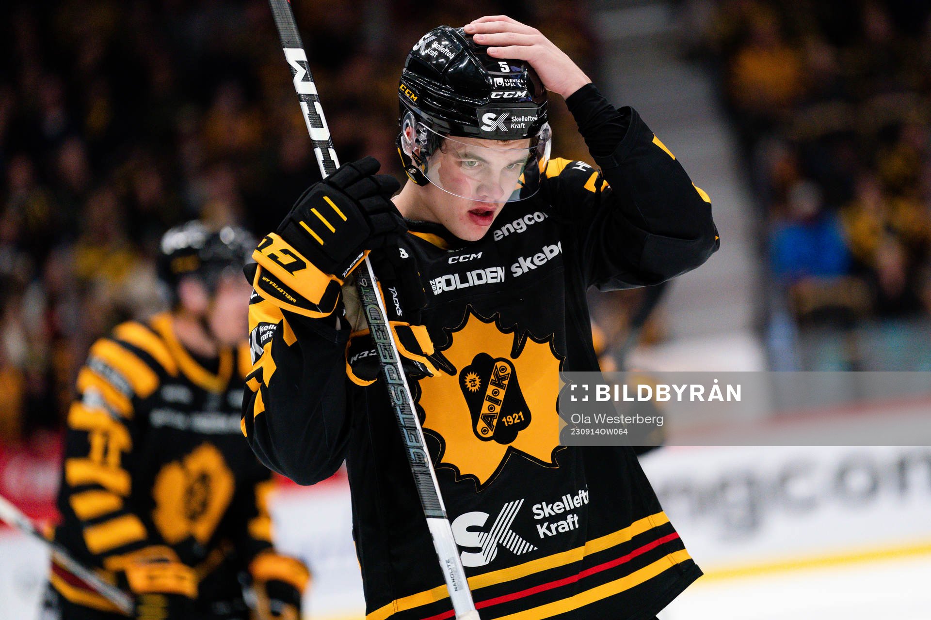 Skellefteås Axel Sandin-Pellikka