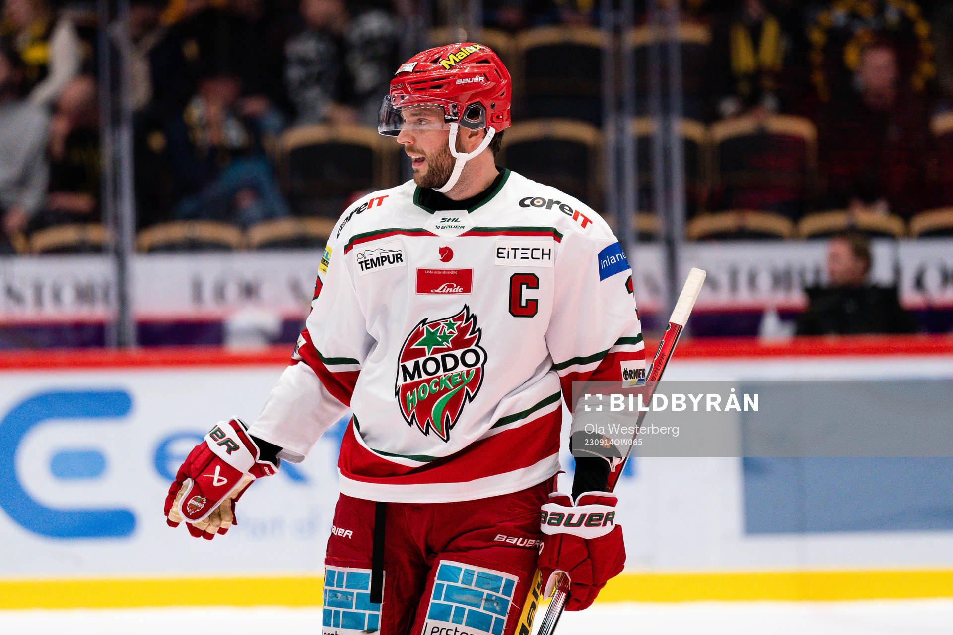 MoDos David Rundblad