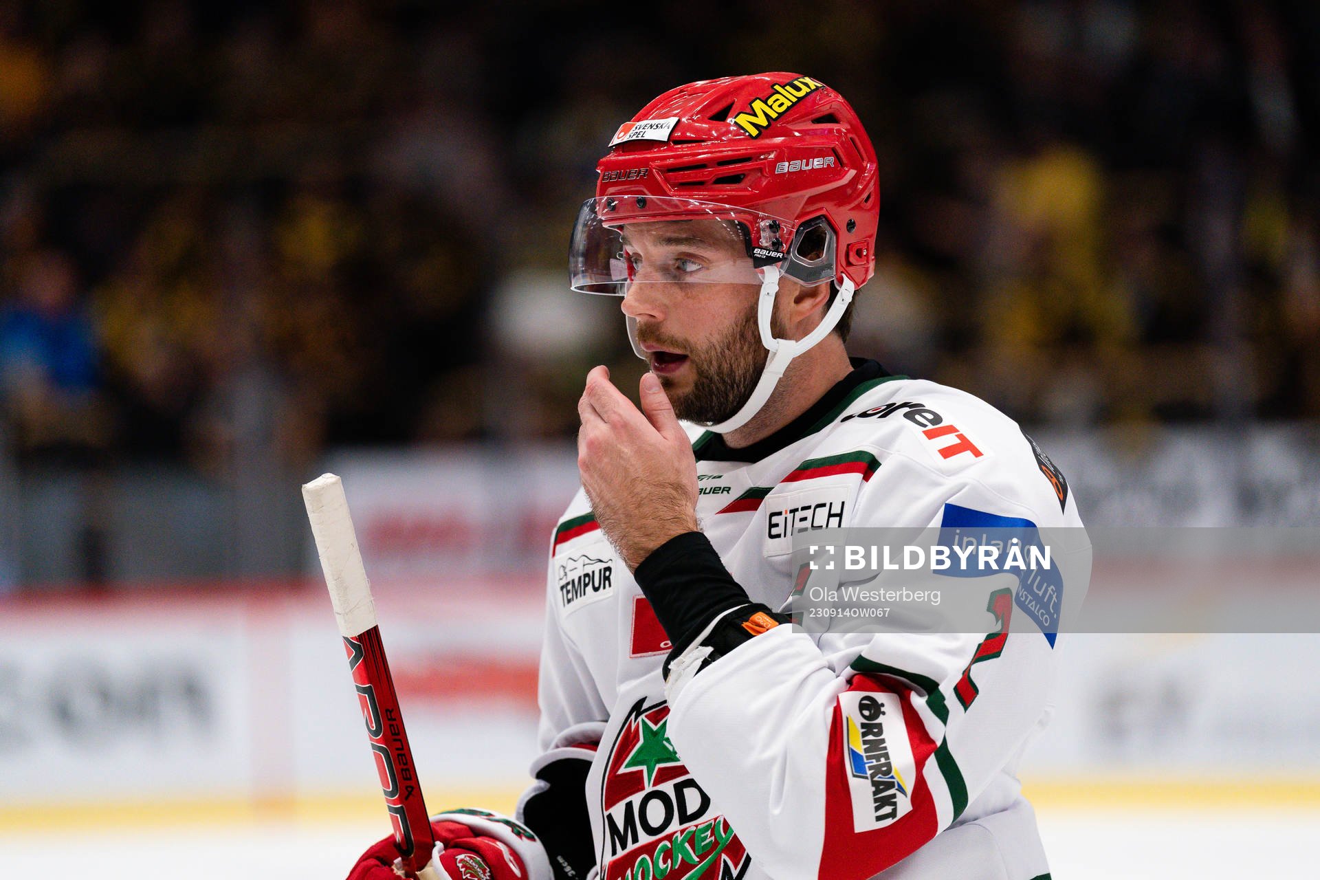 MoDos David Rundblad