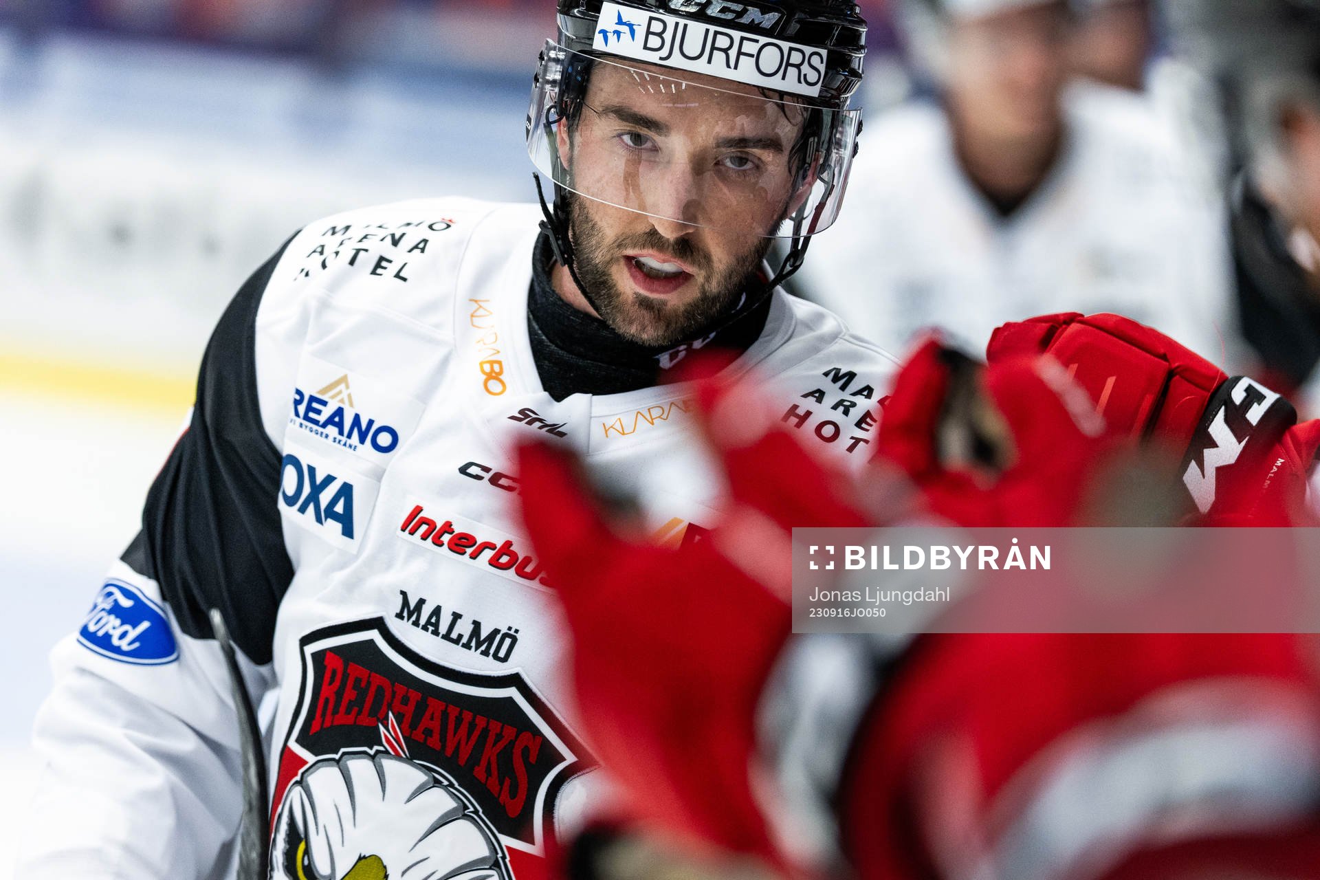 Malmö Redhawks Alan Quine jublar