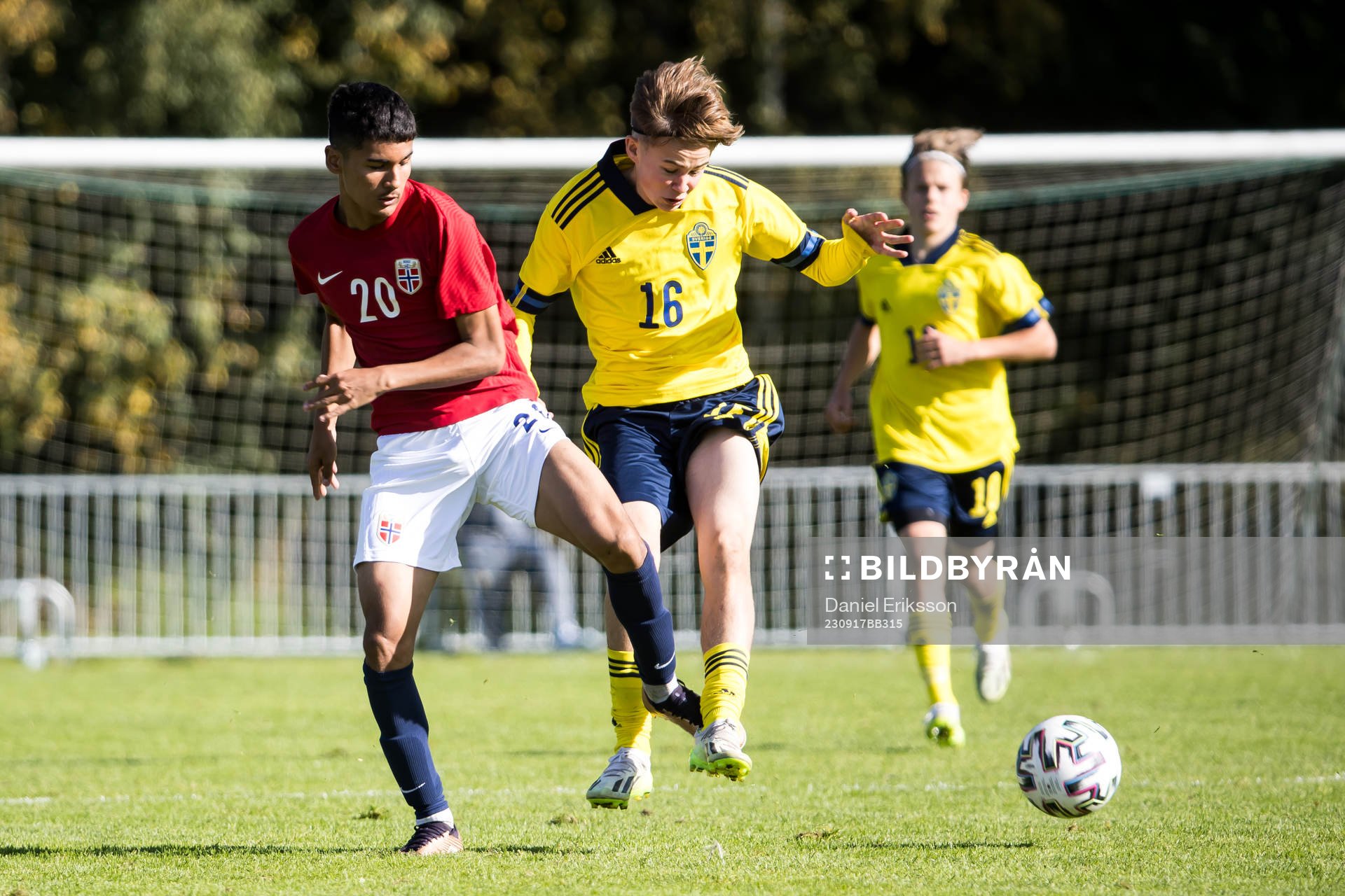 Norges Mostafa Najafzadeh och Sveriges Melwin Hedman