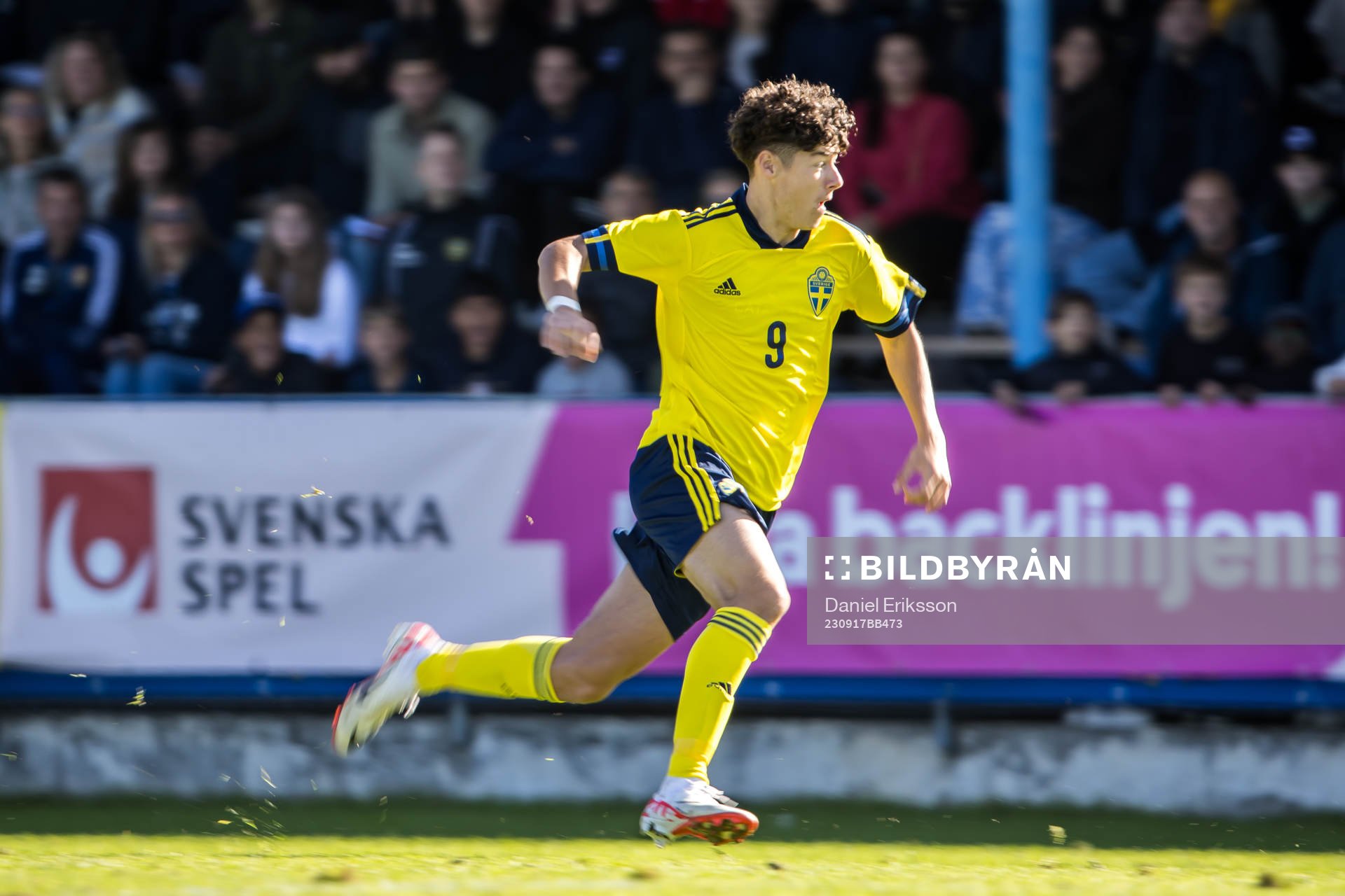 Sveriges Luka Petrovic