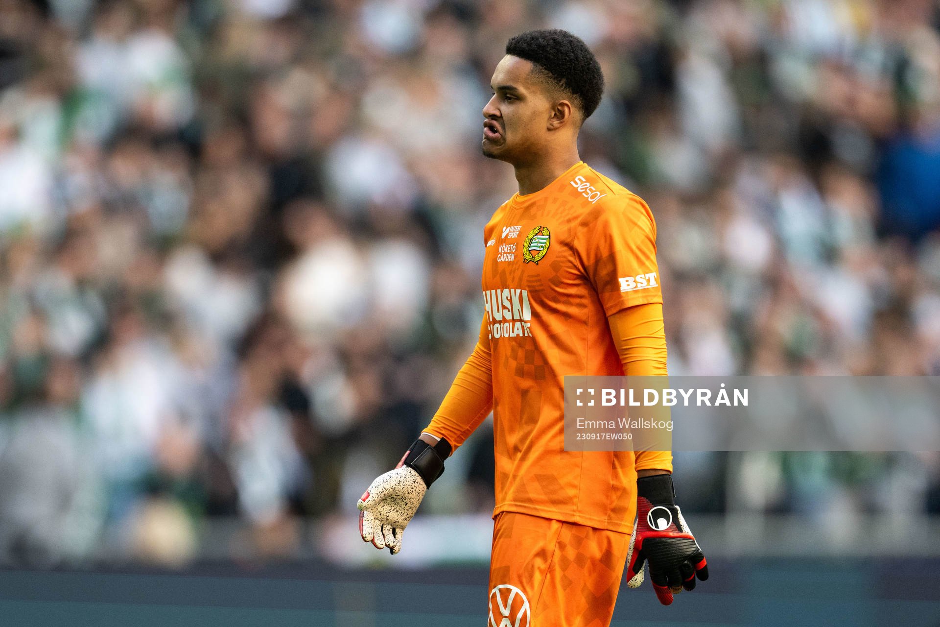Hammarbys målvakt Oliver Dovin deppar