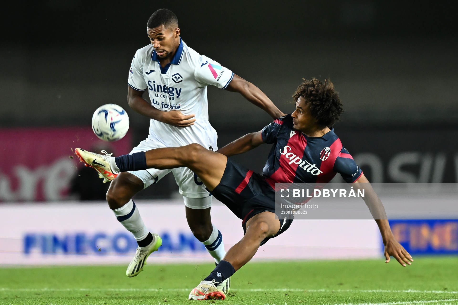 Db Verona 18/09/2023 - campionato di calcio serie A / Hellas Verona-Bologna / foto Daniele Buffa/Image Sport nella foto: Isak Hien (Verona) - Joshua Zirkzee (Bologna).