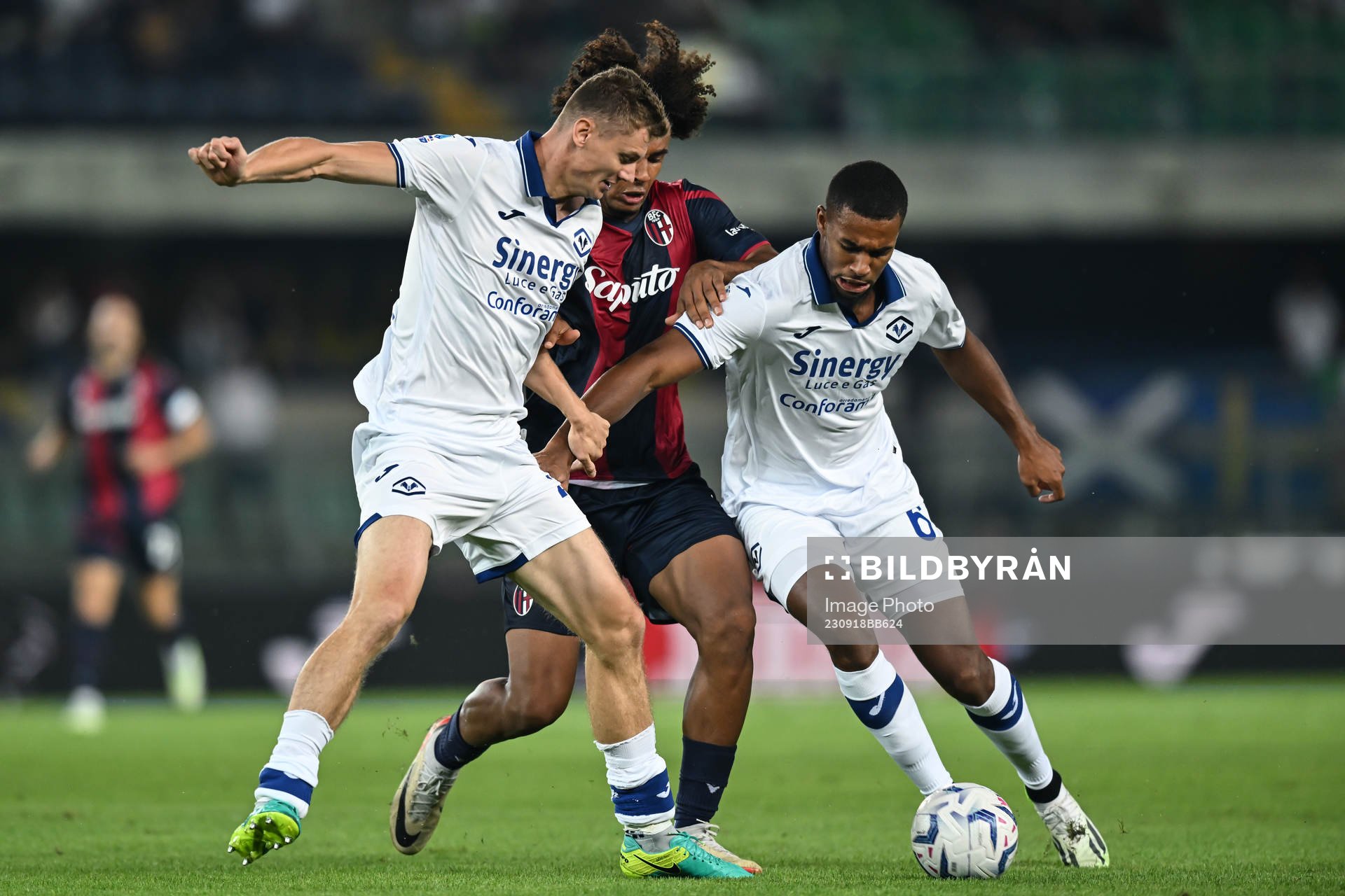 Db Verona 18/09/2023 - campionato di calcio serie A / Hellas Verona-Bologna / foto Daniele Buffa/Image Sport nella foto: Isak Hien Pawel Dawidowicz- (Verona) - Joshua Zirkzee (Bologna).