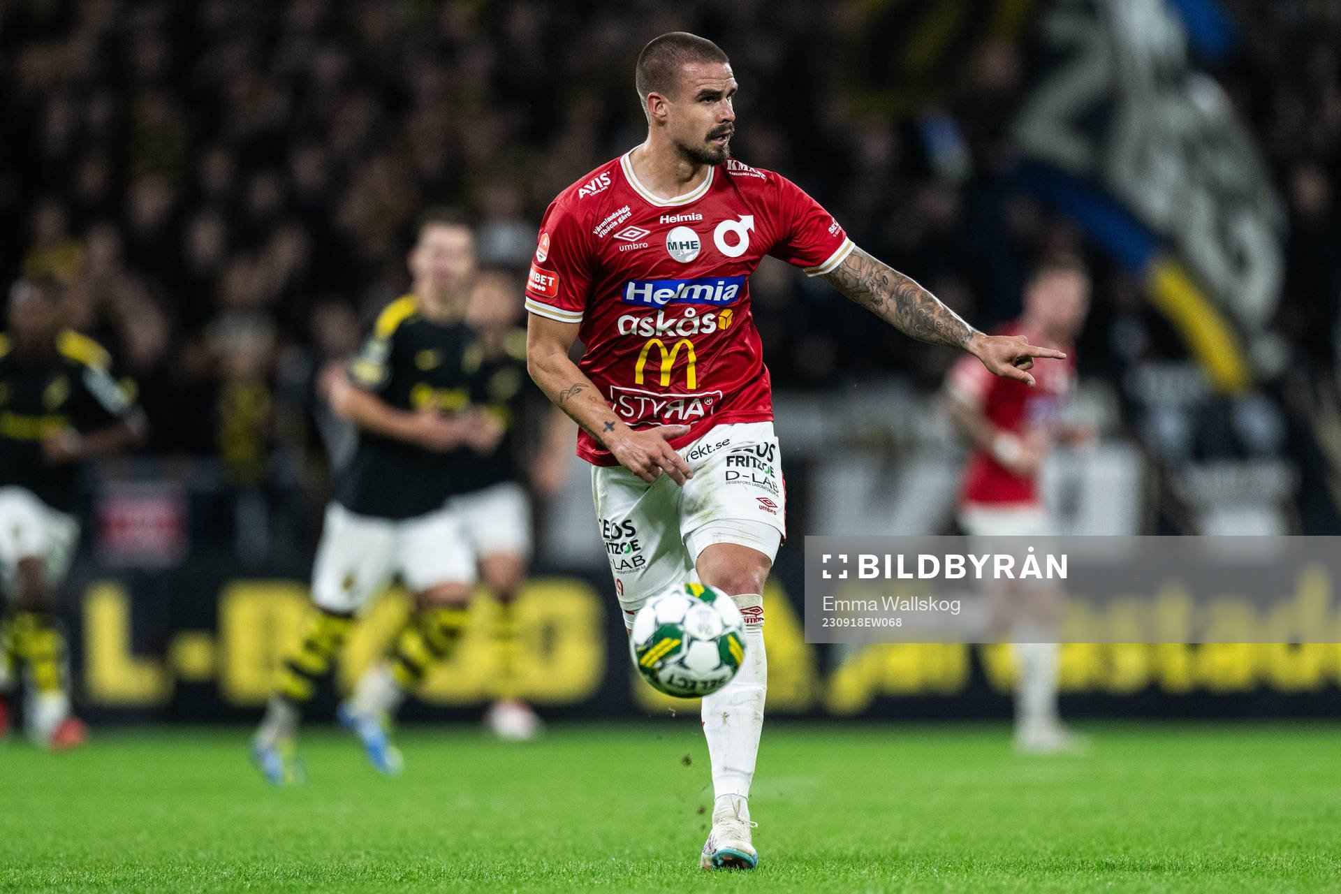 Degerfors Douglas Bergqvist
