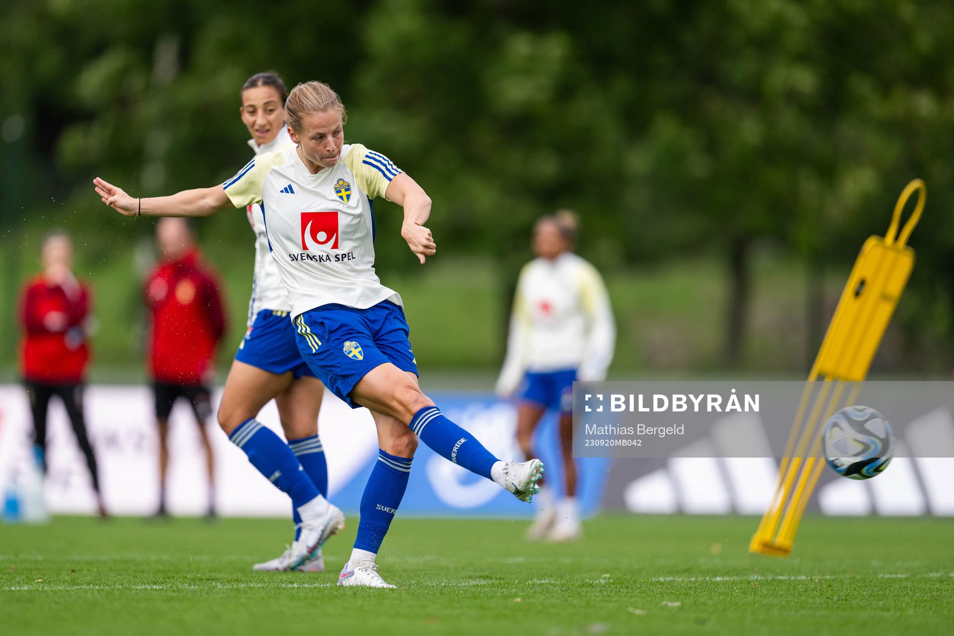 Anna Anvegård