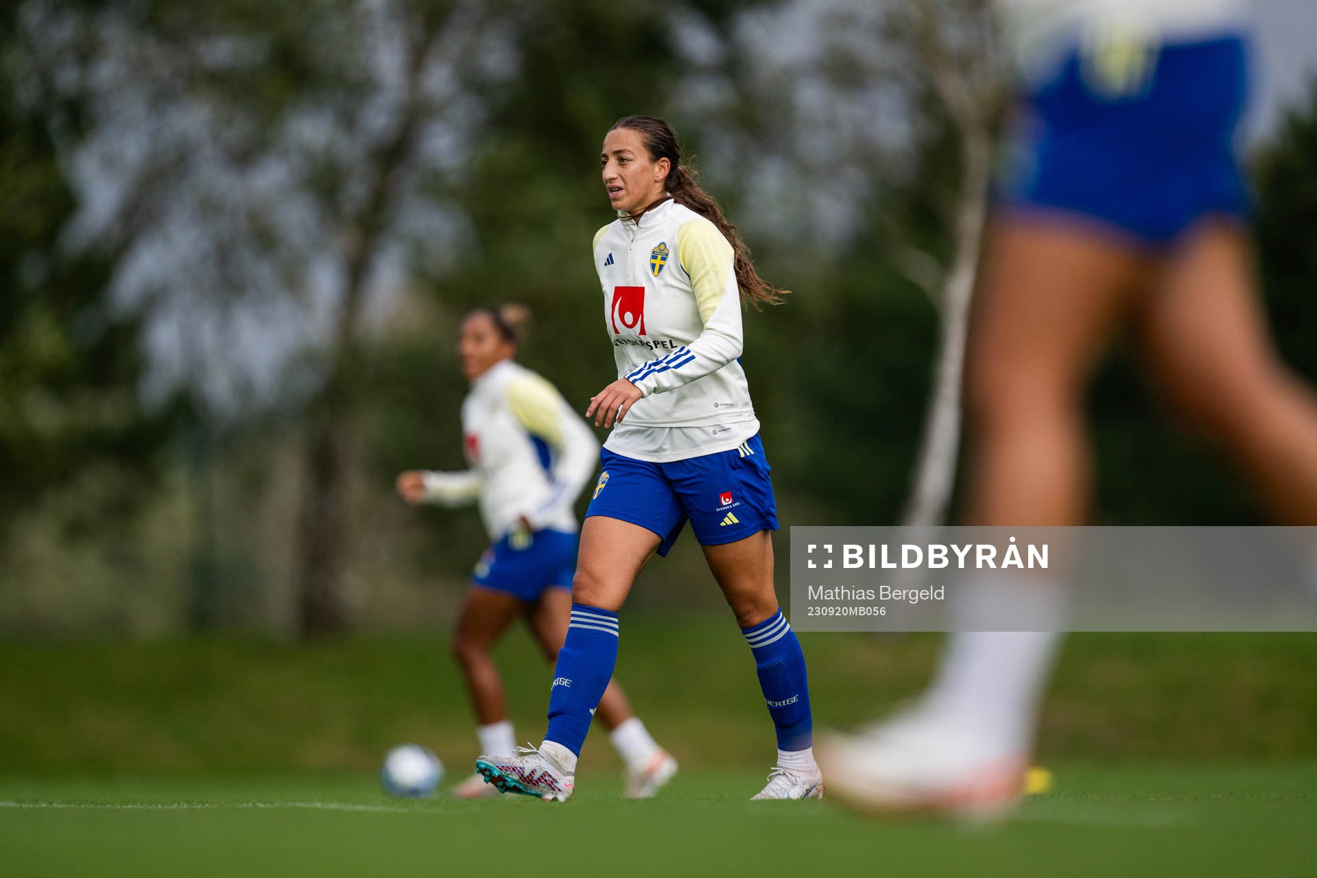 Rosa Kafaji
