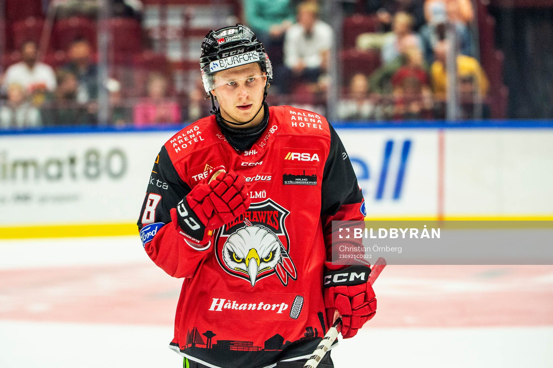 Malmö Redhawks Lauri Pajuniemi