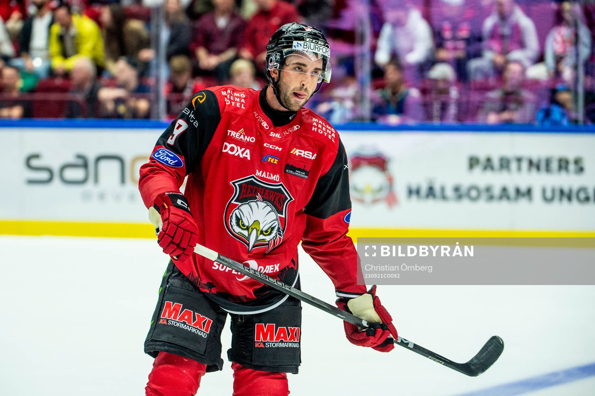 Malmö Redhawks Alan Quine