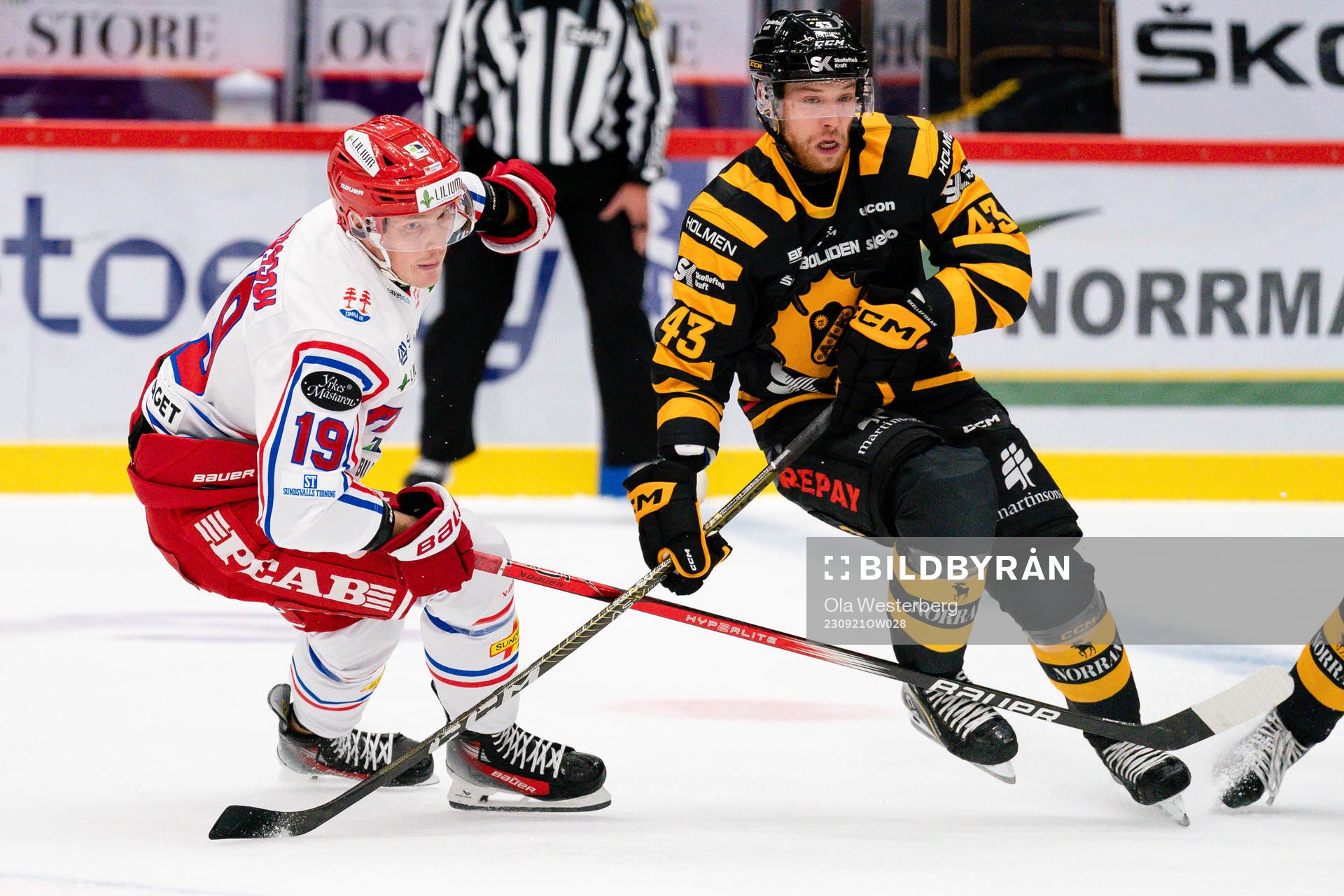 Timrås Erik Andersson och Skellefteås Filip Sandberg