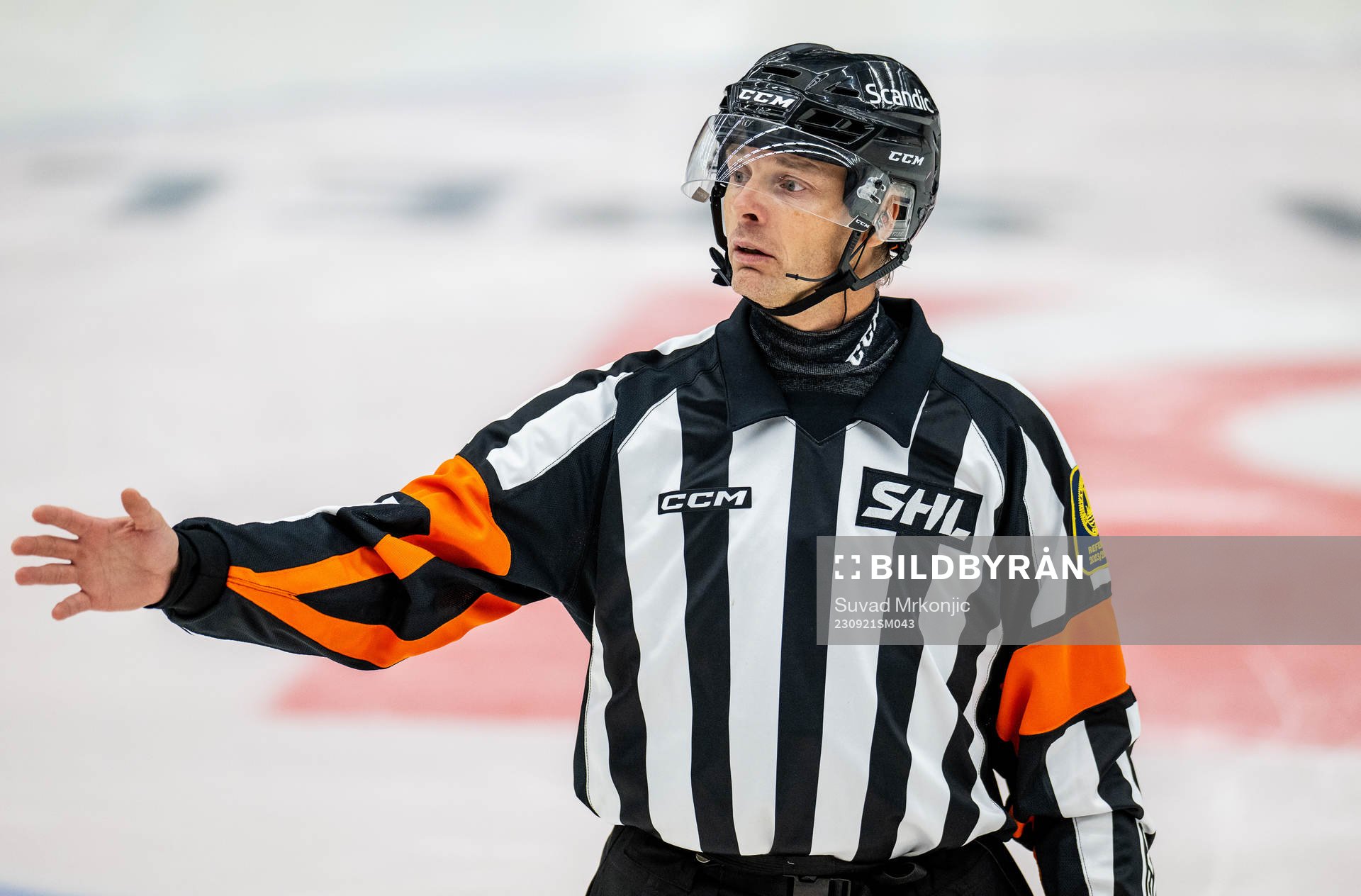 Domare Mikael Andersson