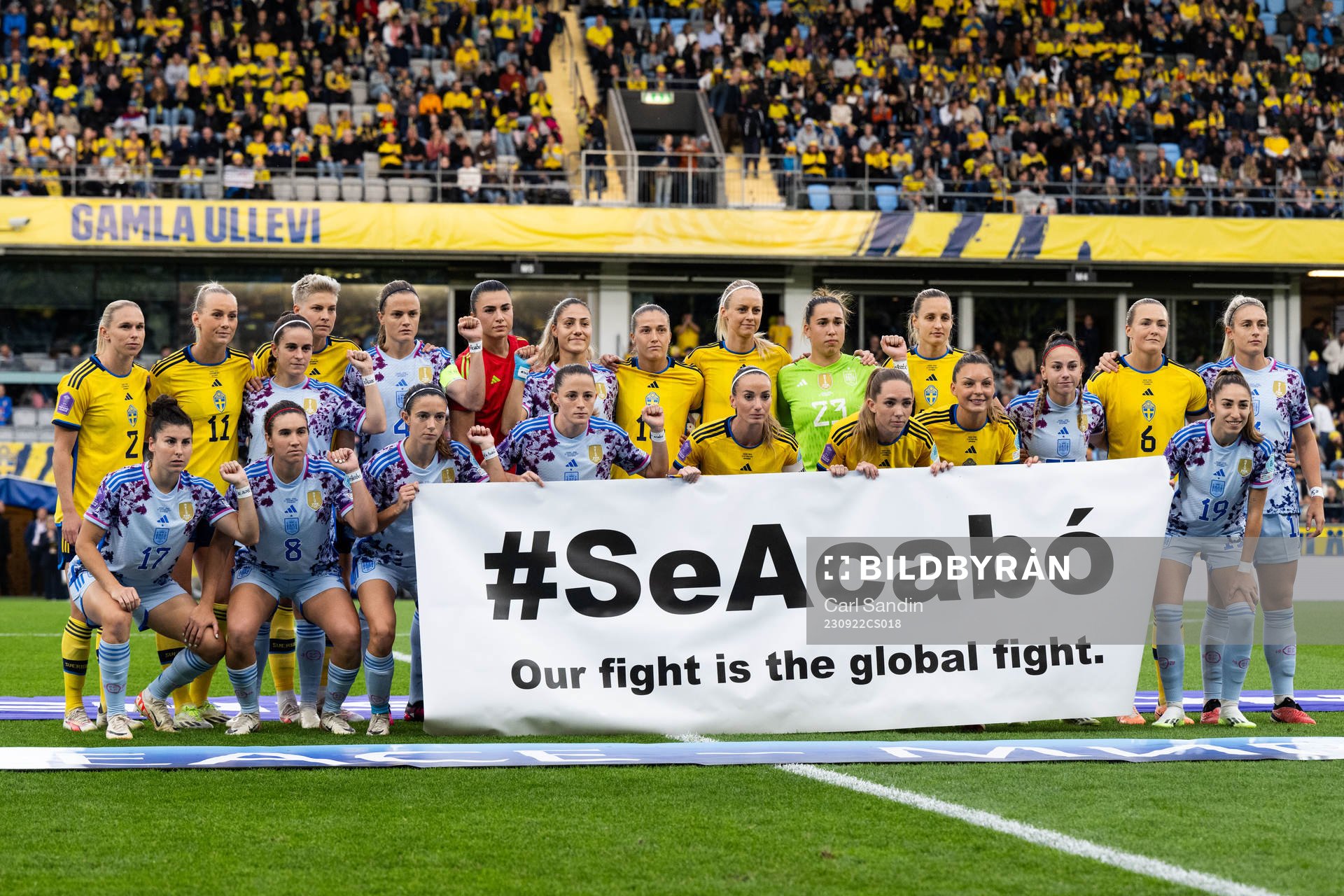 Players of Sweden and of Spain