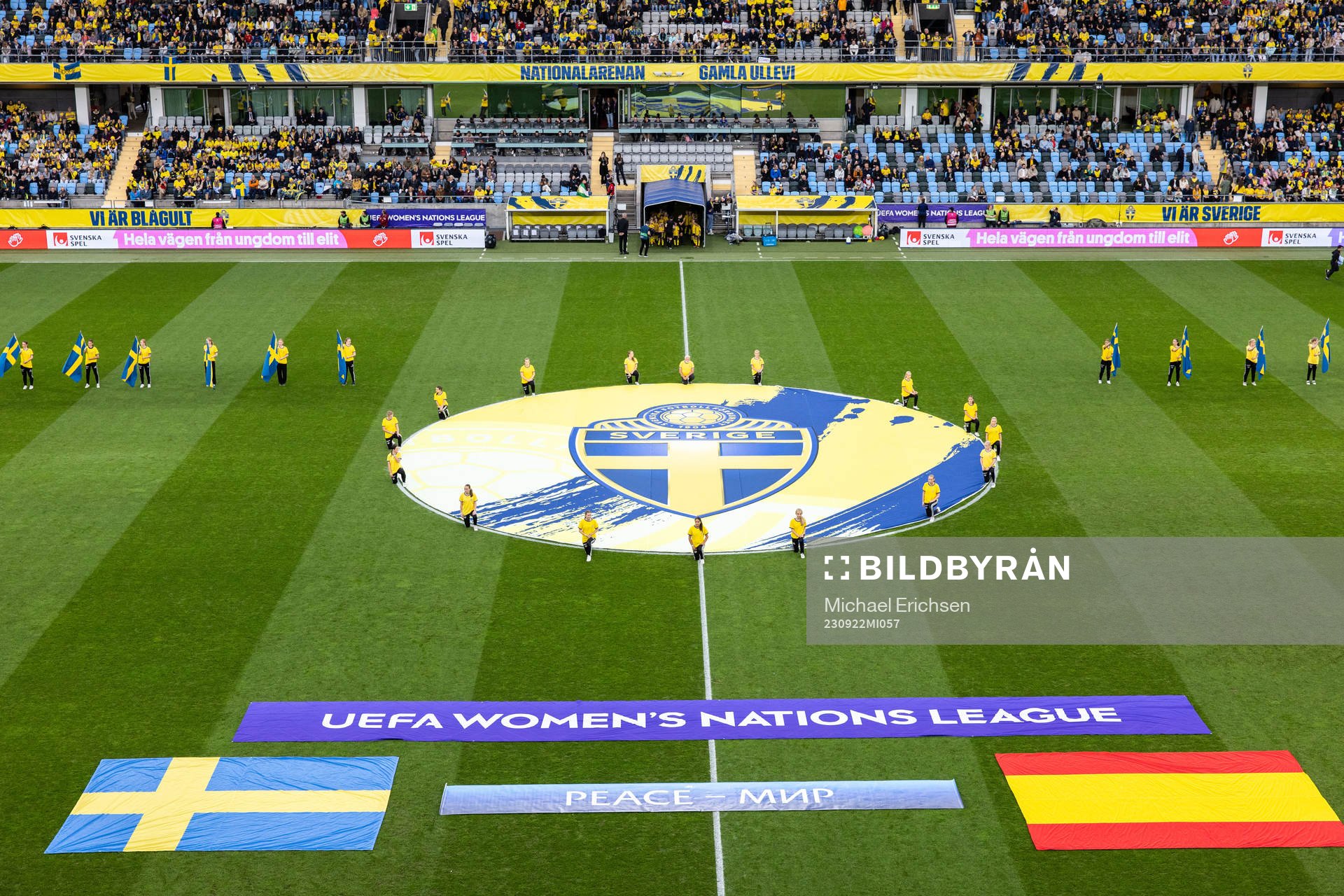 The pitch at Gamla Ullevi