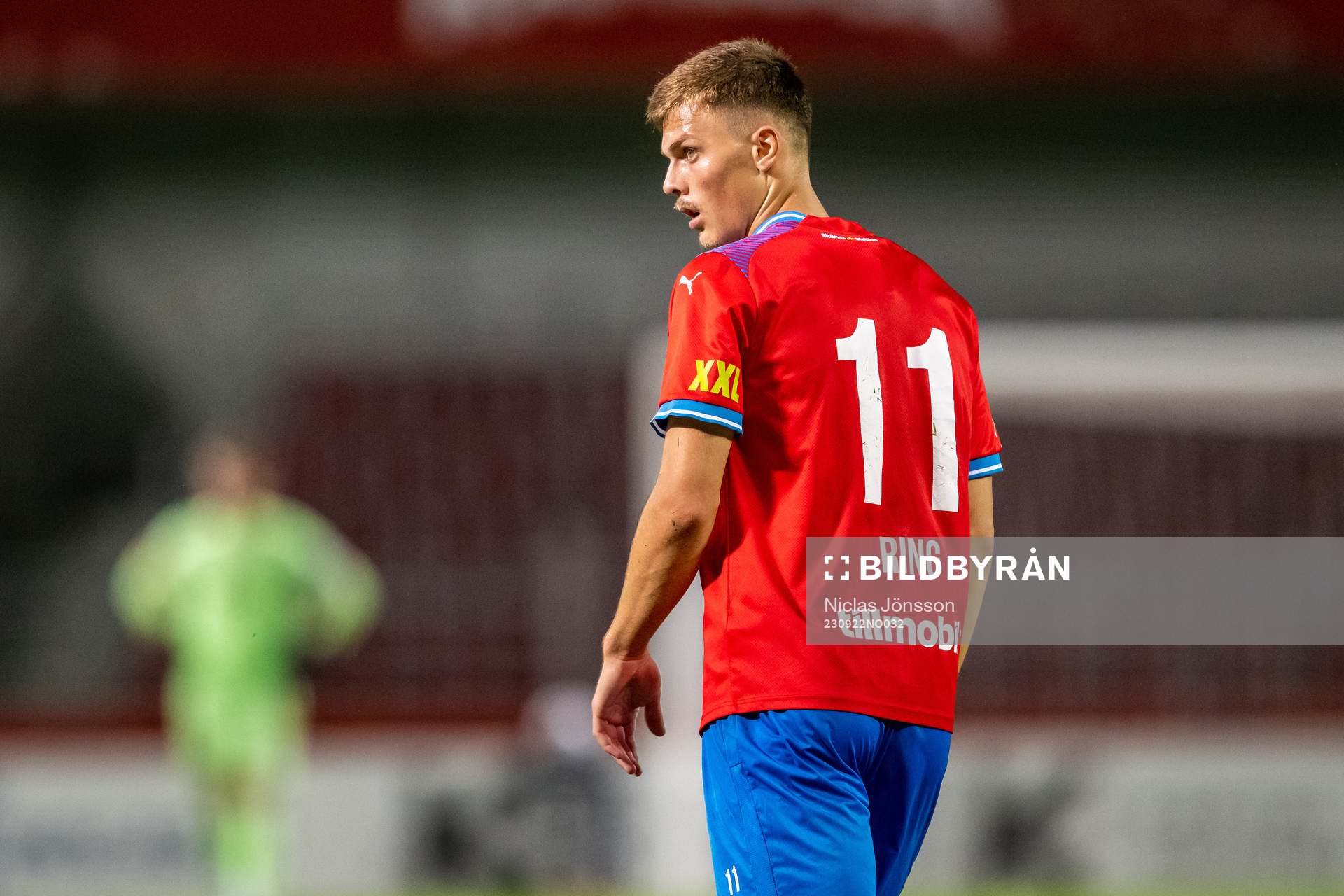 Helsingborgs Erik Ring