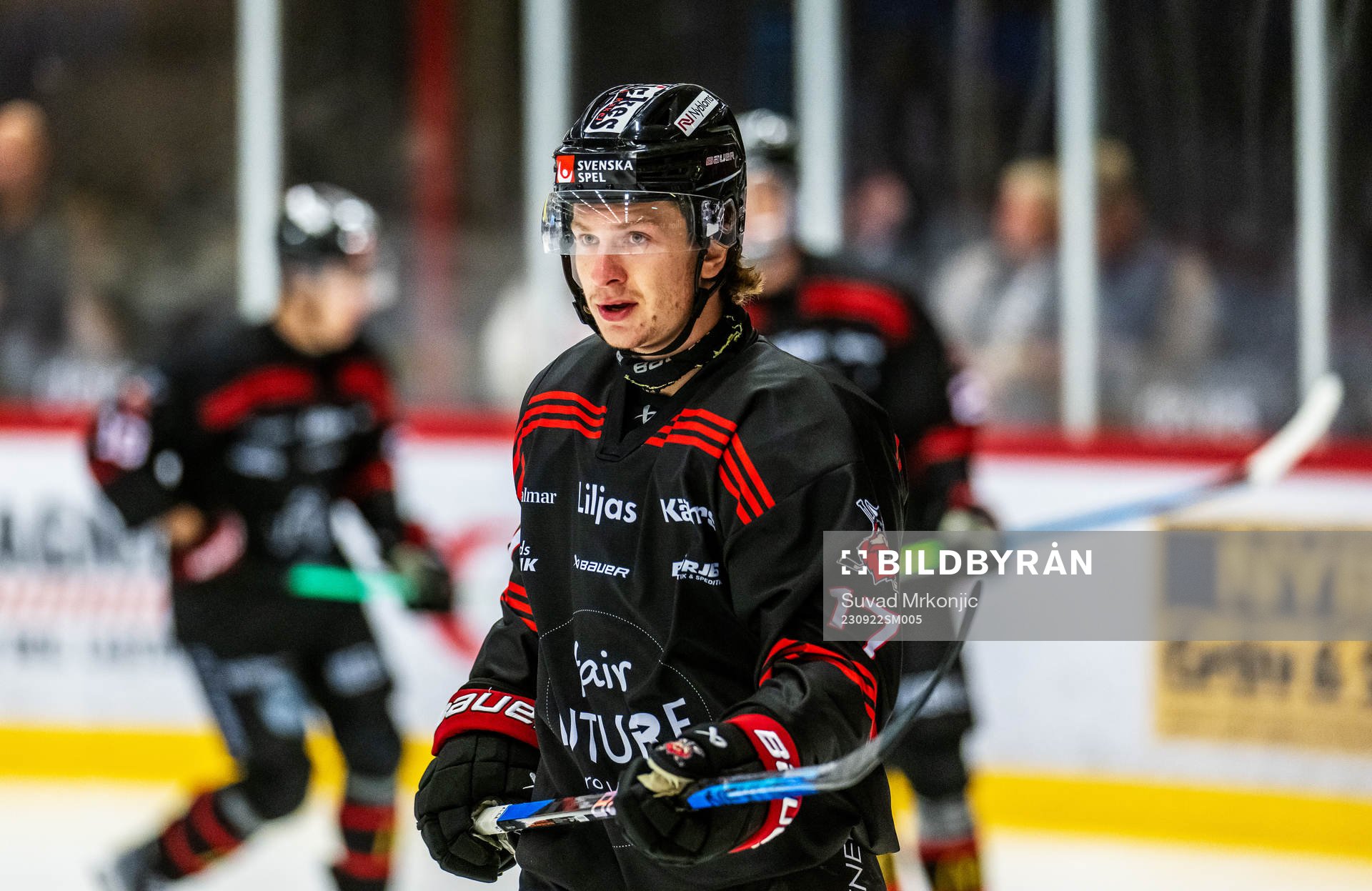 Nybros Maxim Golod