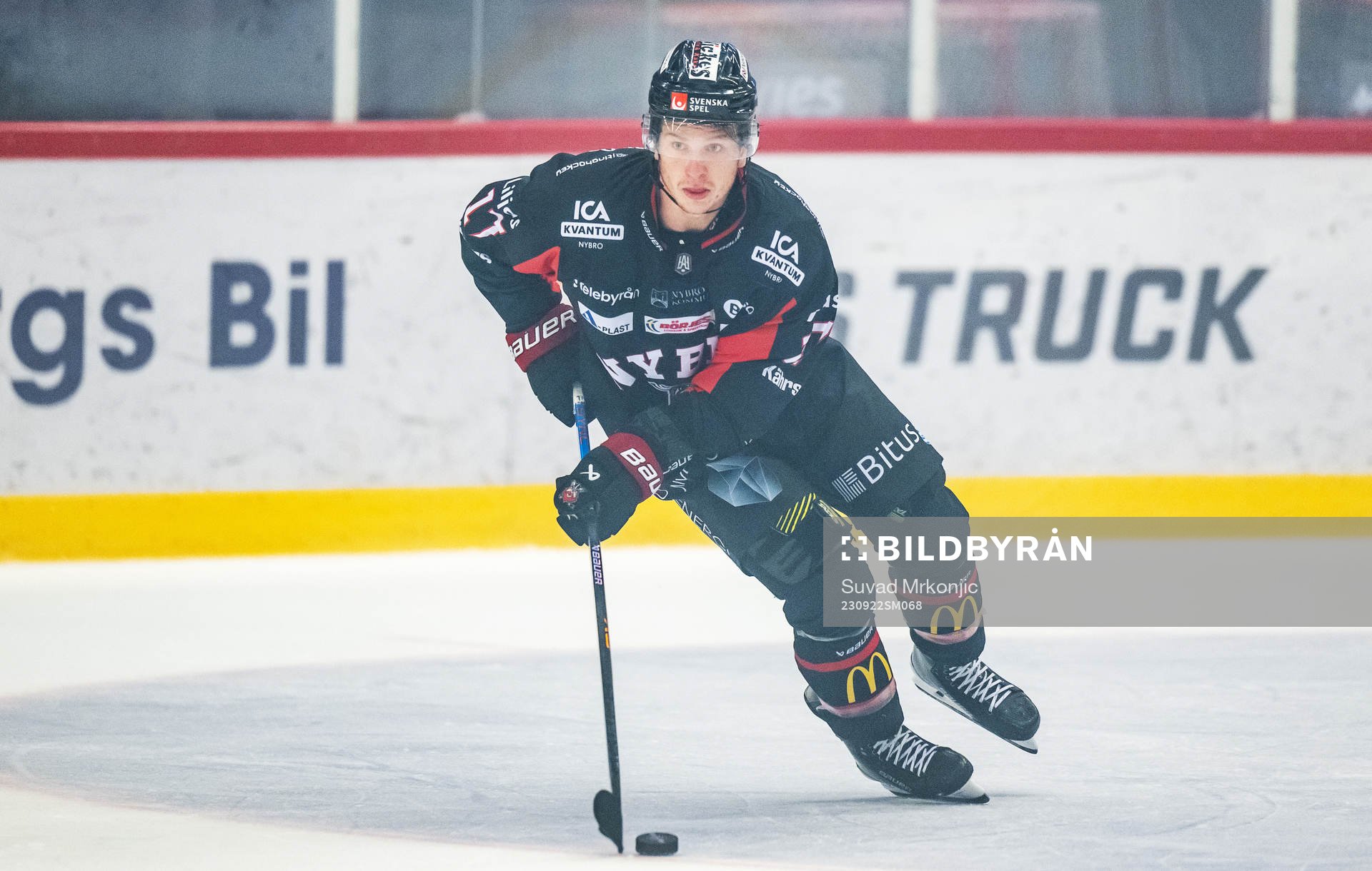 Nybros Maxim Golod