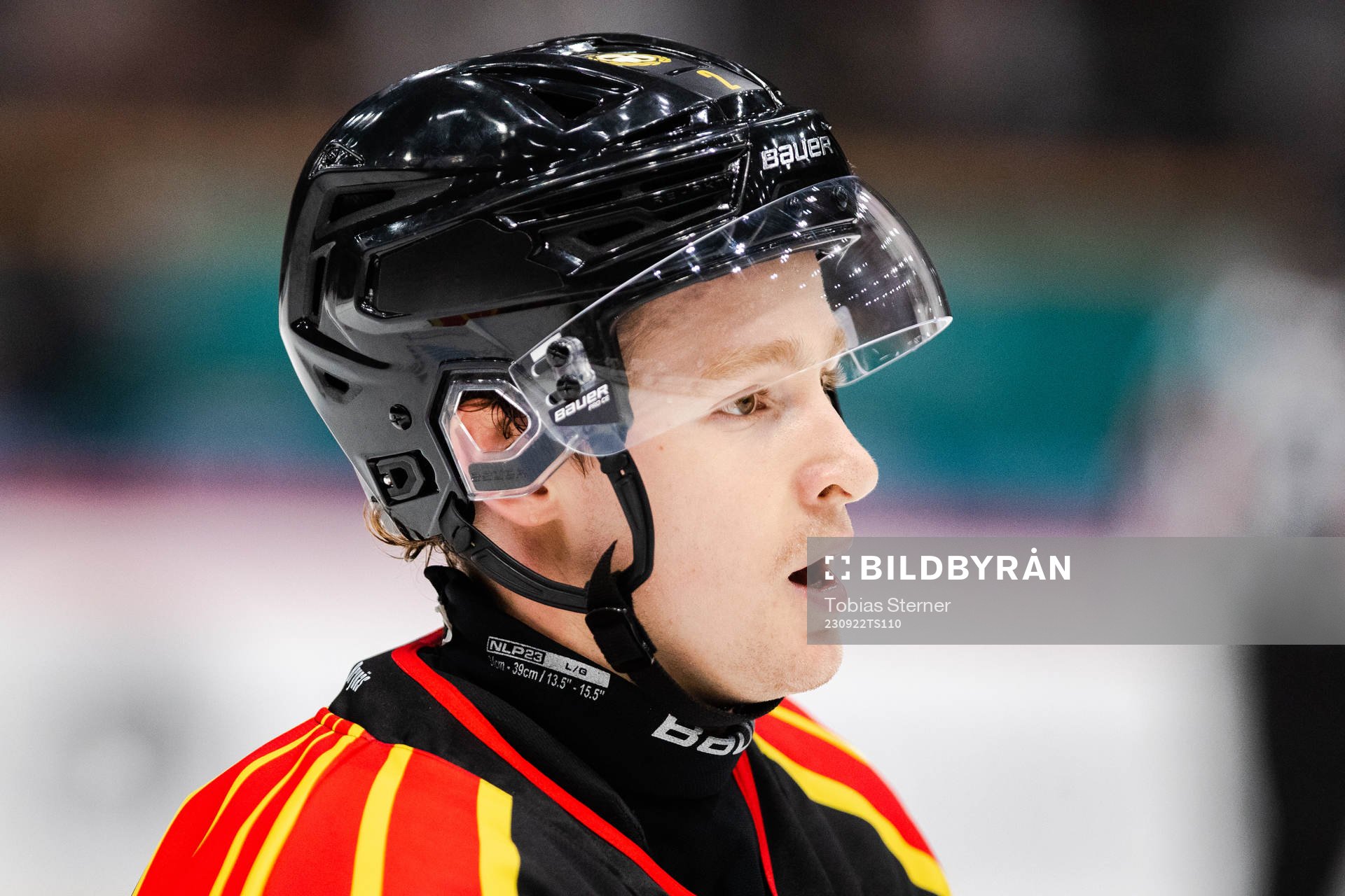 Brynäs Anton Johannesson