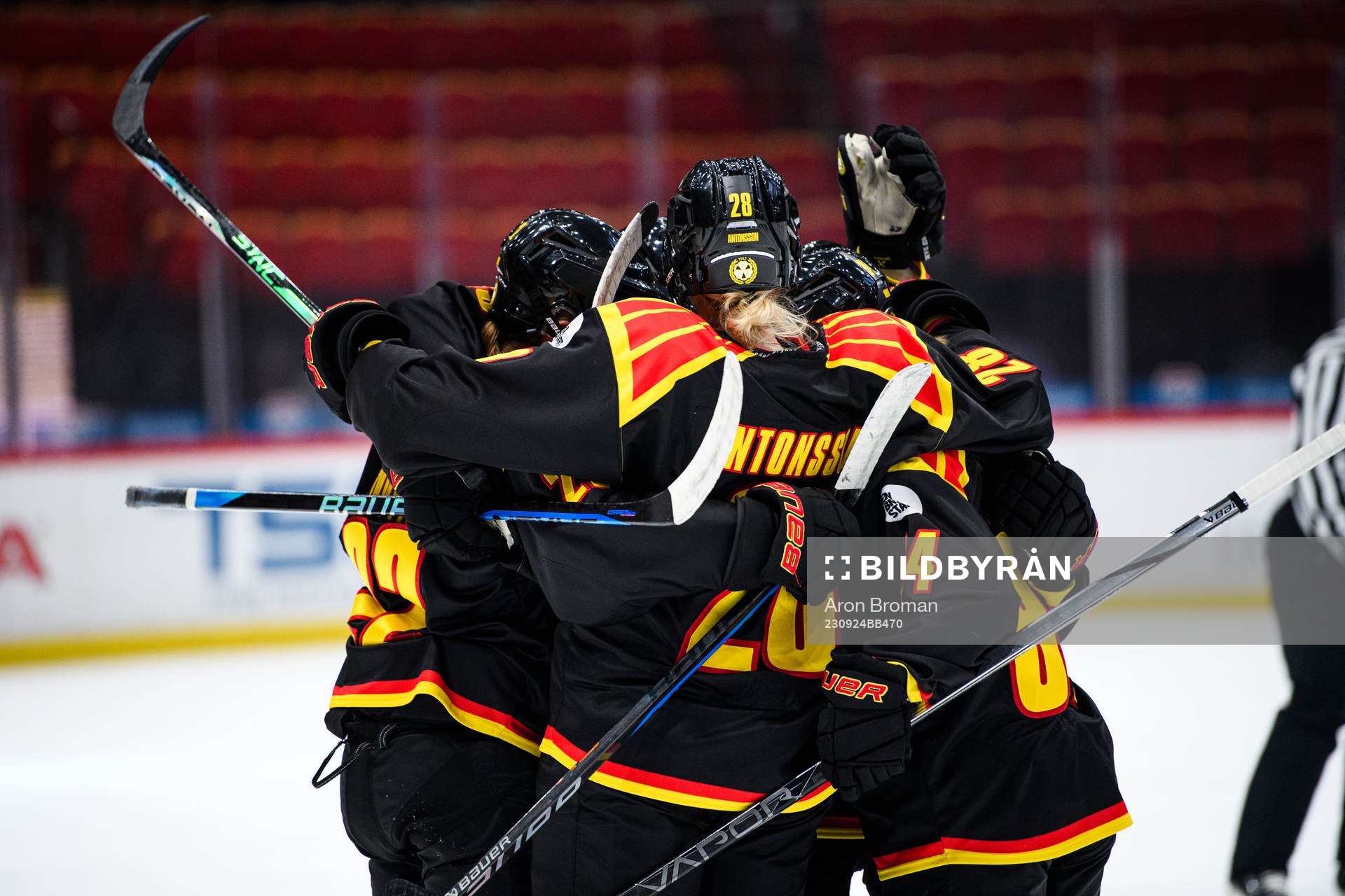 Brynäs spelar jublar