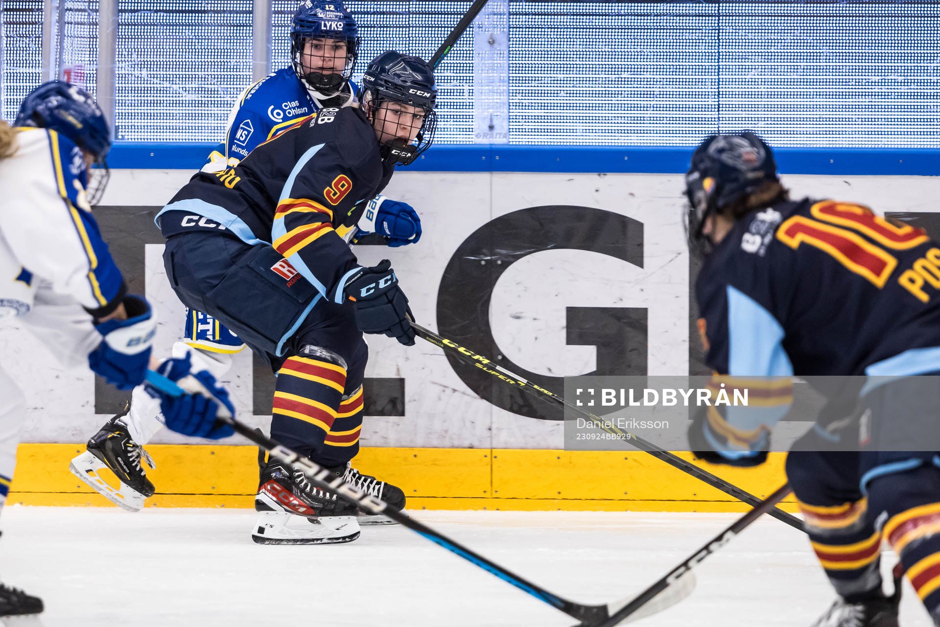 Djurgårdens Linnea Natt Och Dag