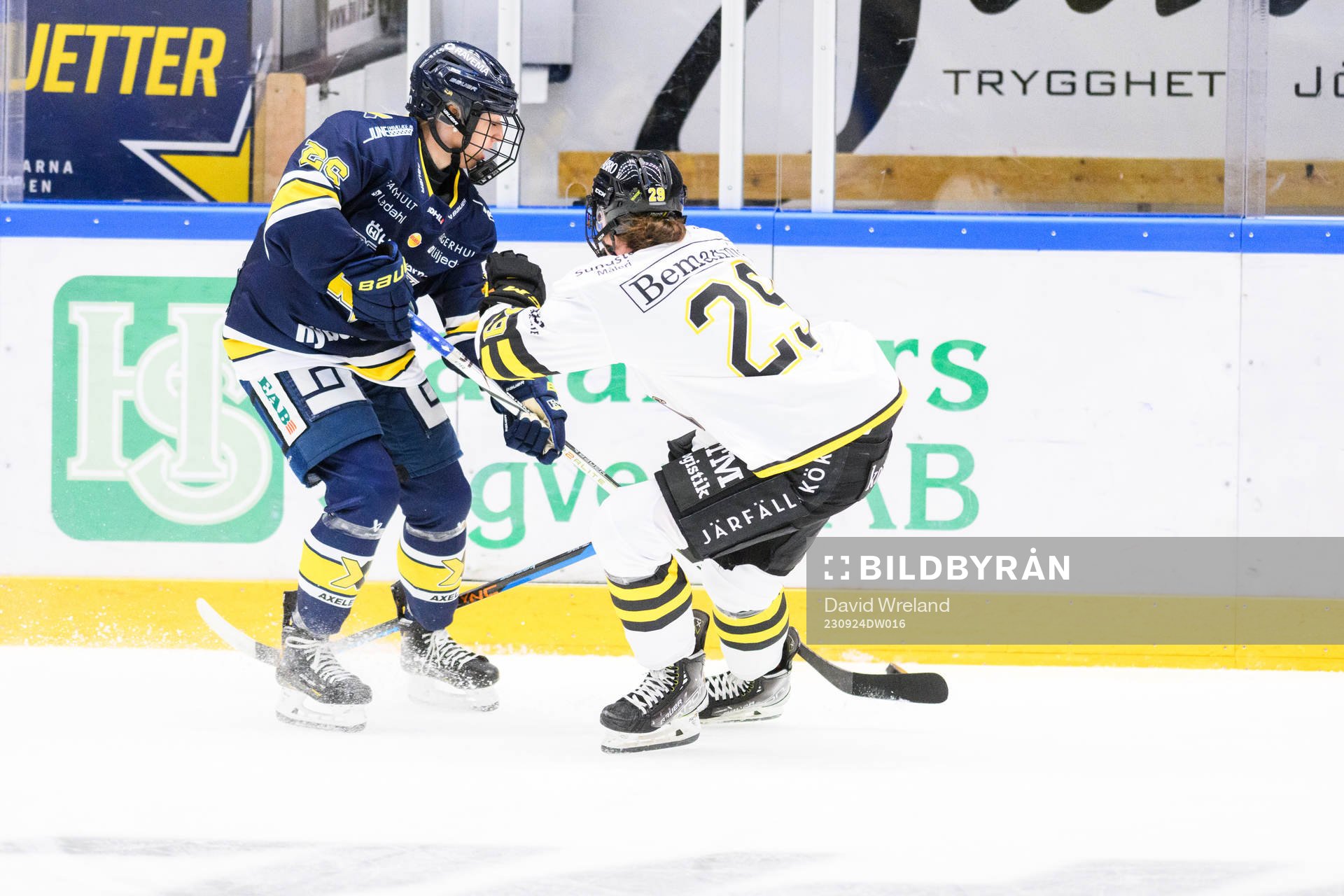 HV71s  Suvi Käyhkö