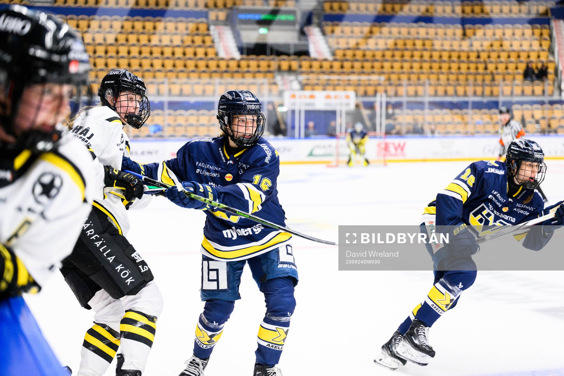 HV71s Kajsa Armborg